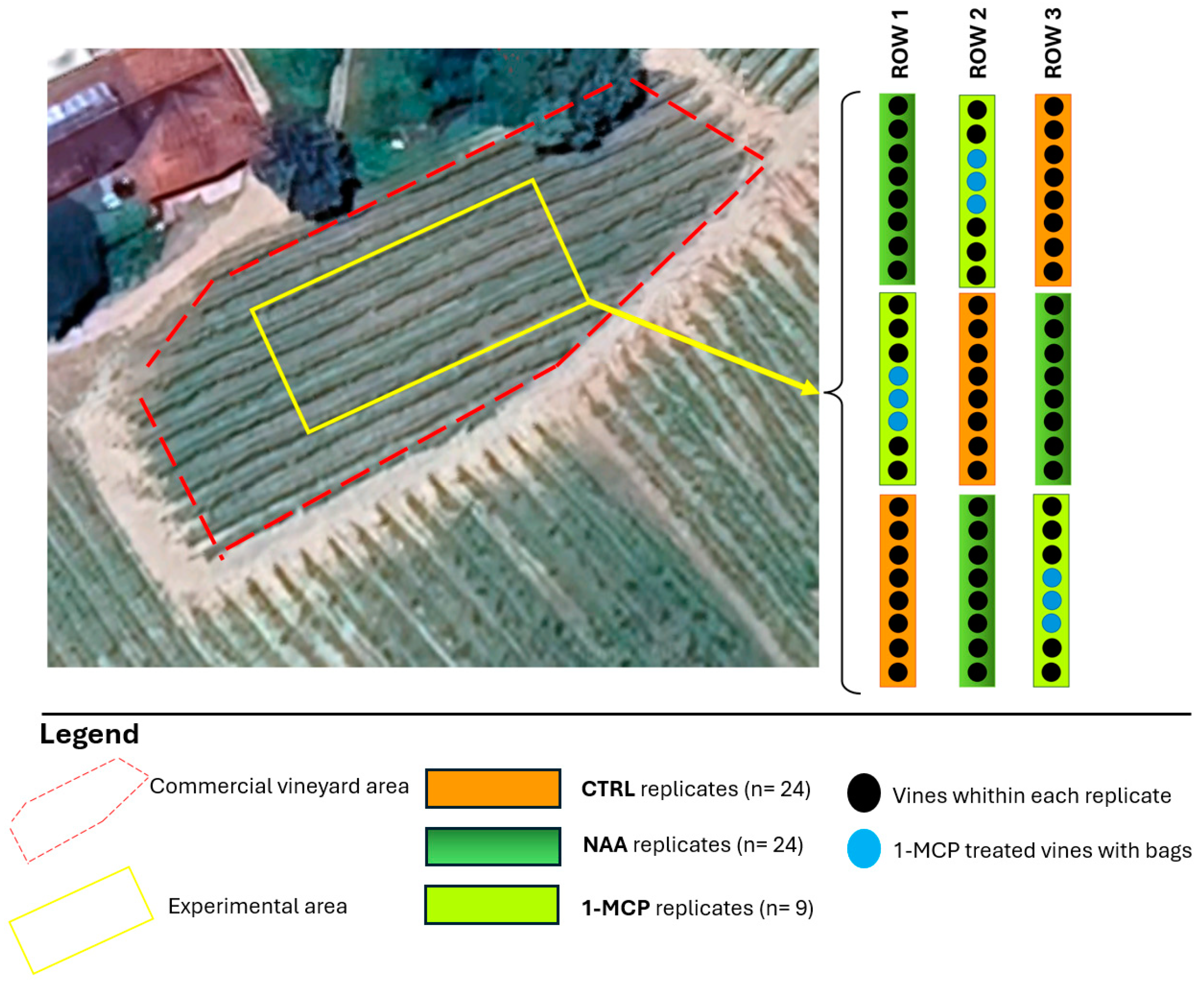 Plants 14 00280 g005