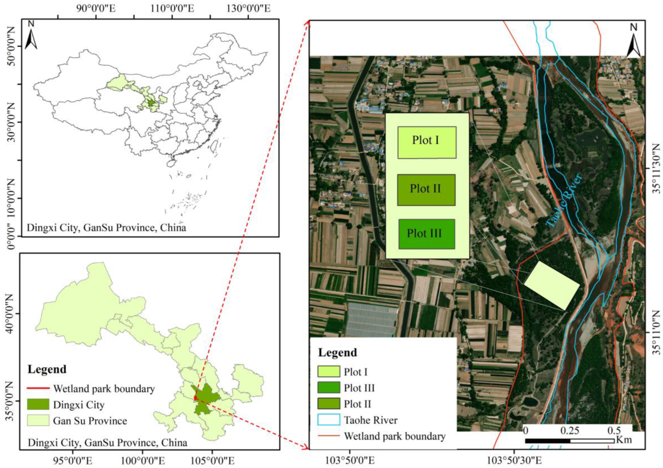 Plants 14 00282 g001