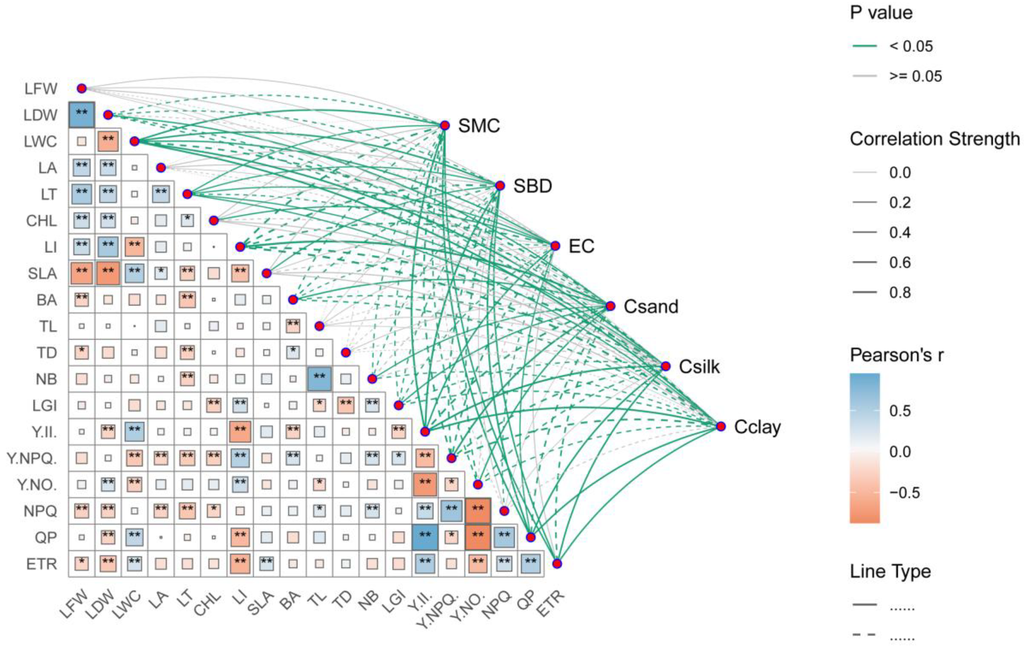 Plants 14 00282 g005