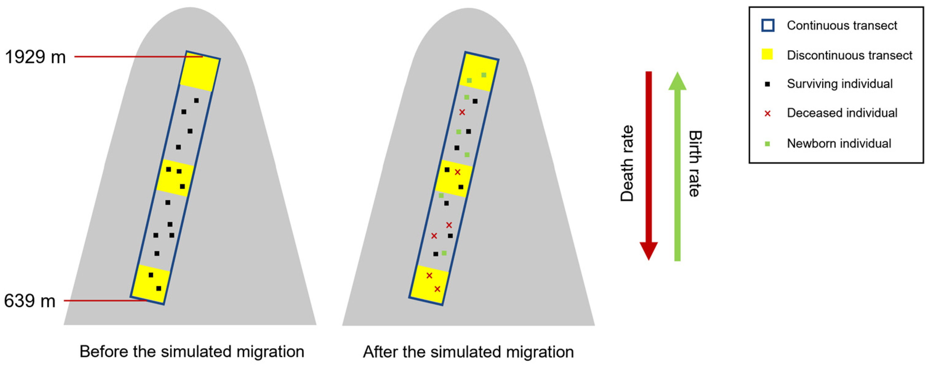 Plants 14 00283 g006
