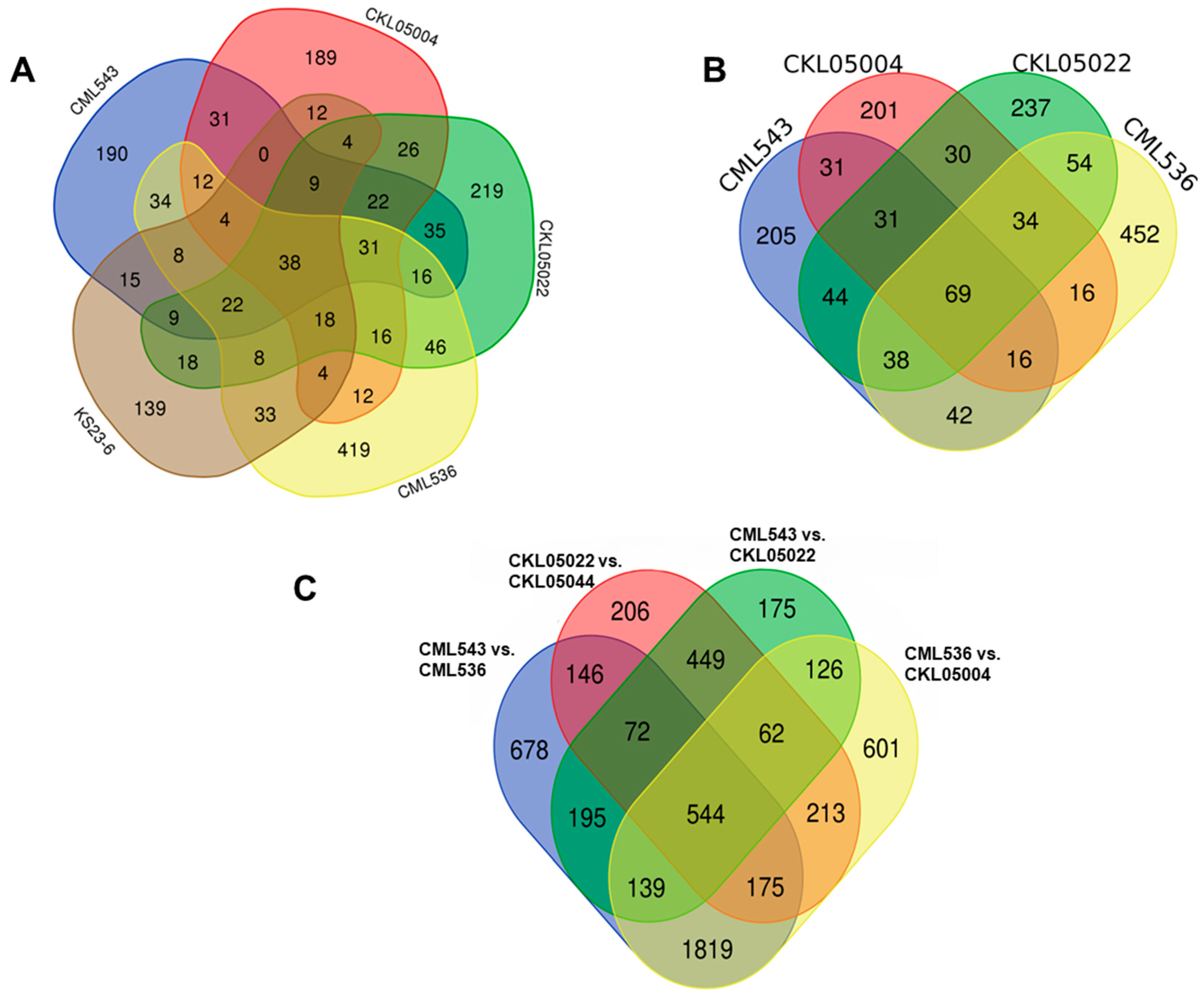 Plants 14 00295 g004