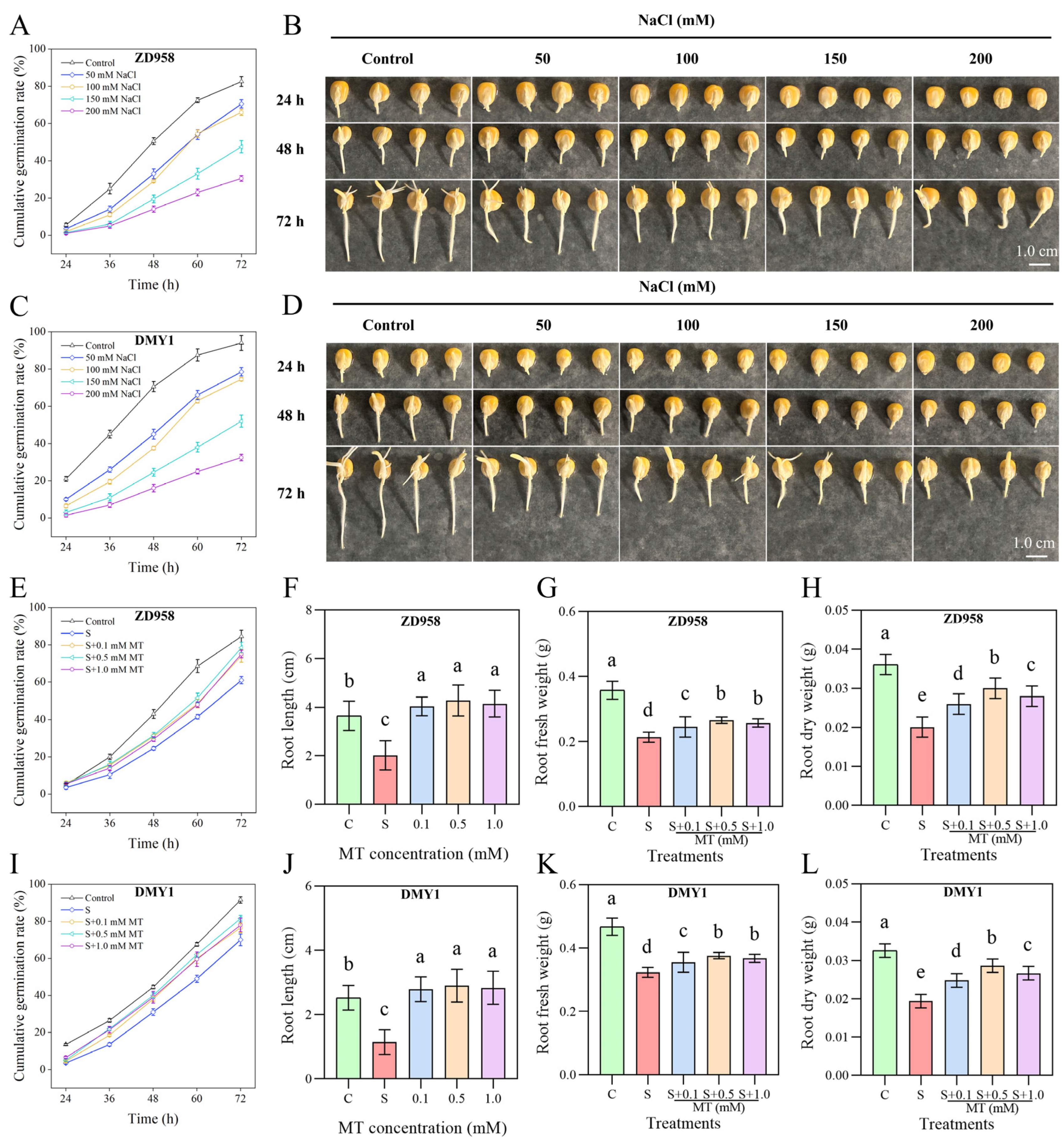Plants 14 00296 g001