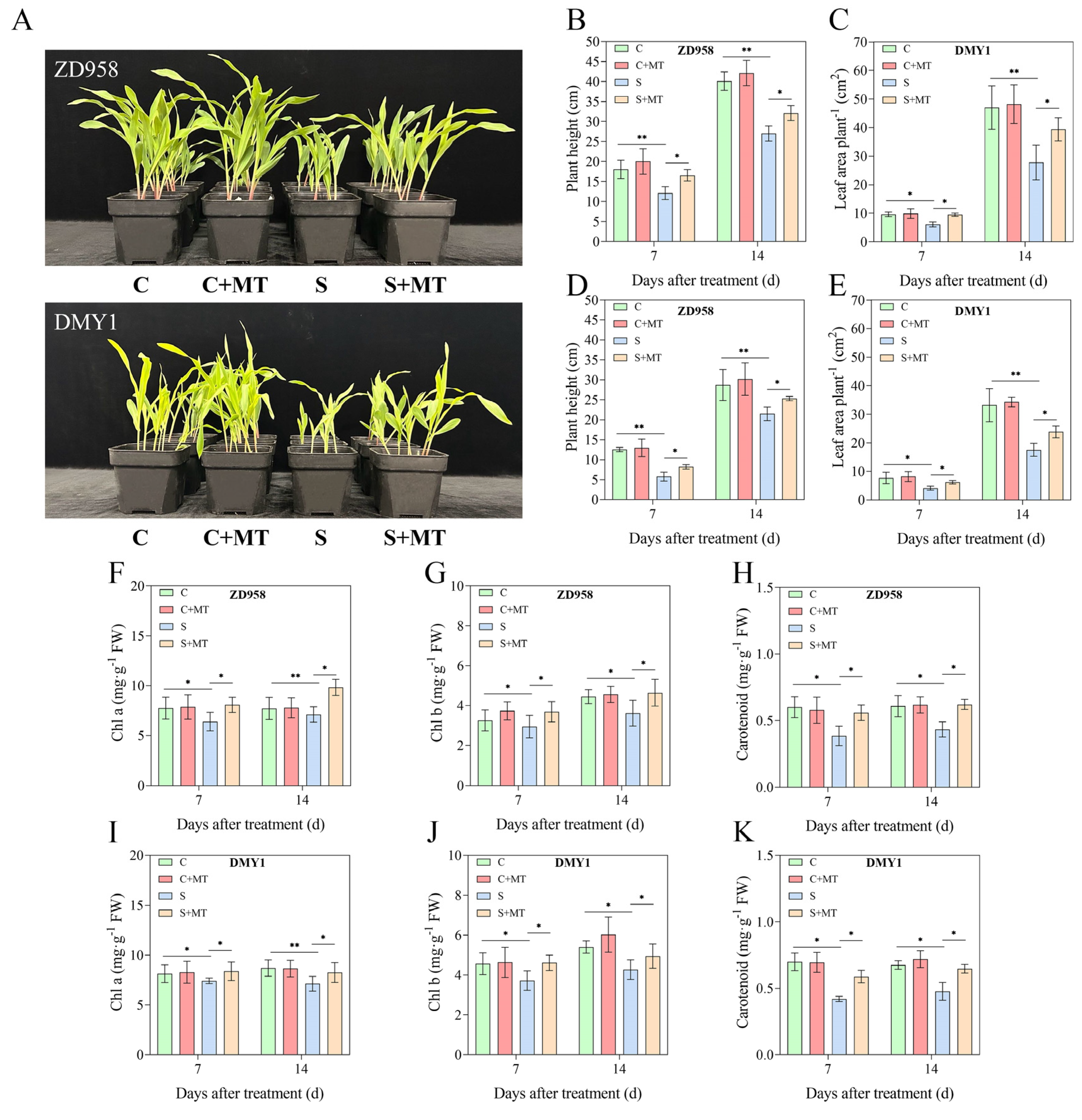 Plants 14 00296 g002