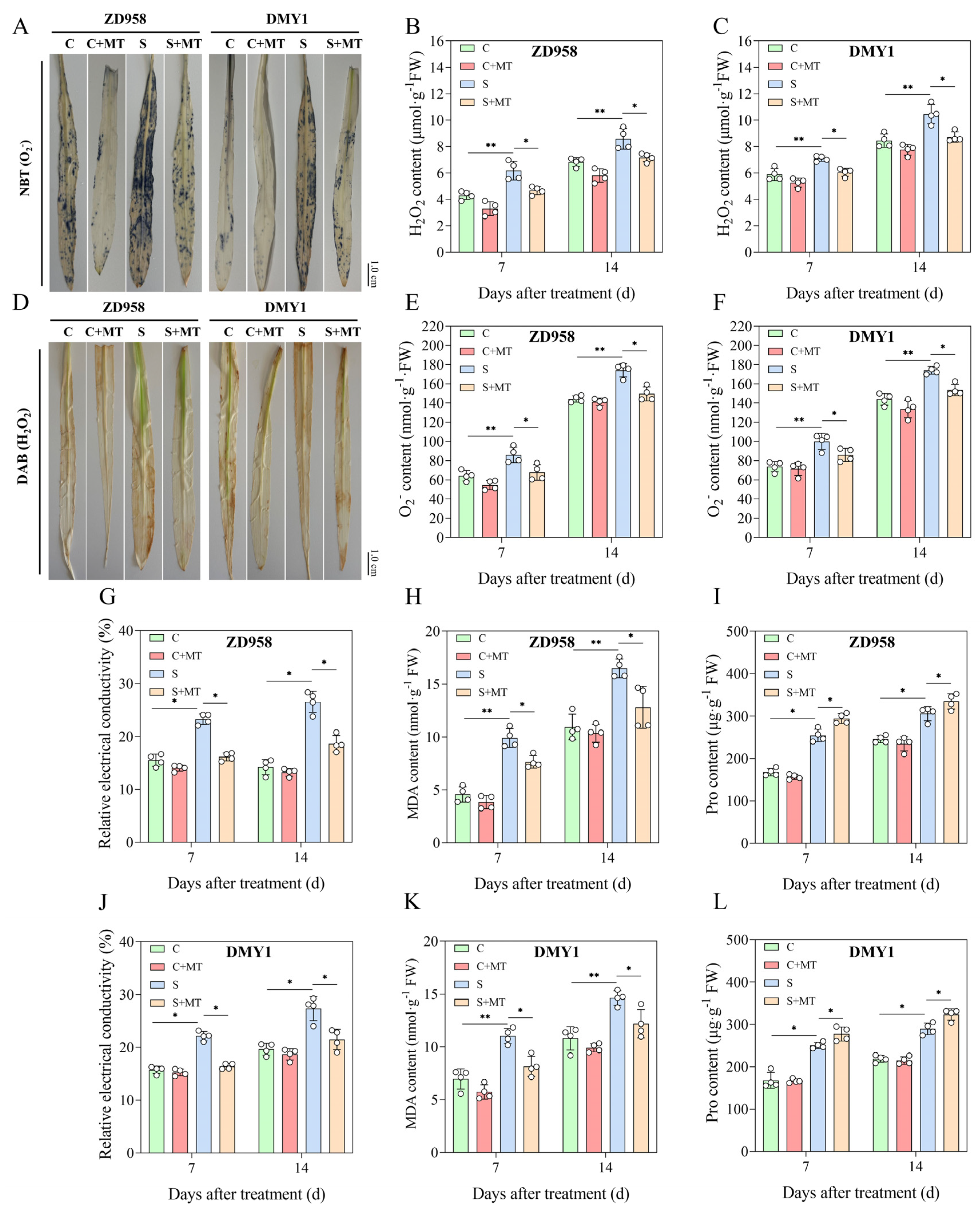 Plants 14 00296 g003