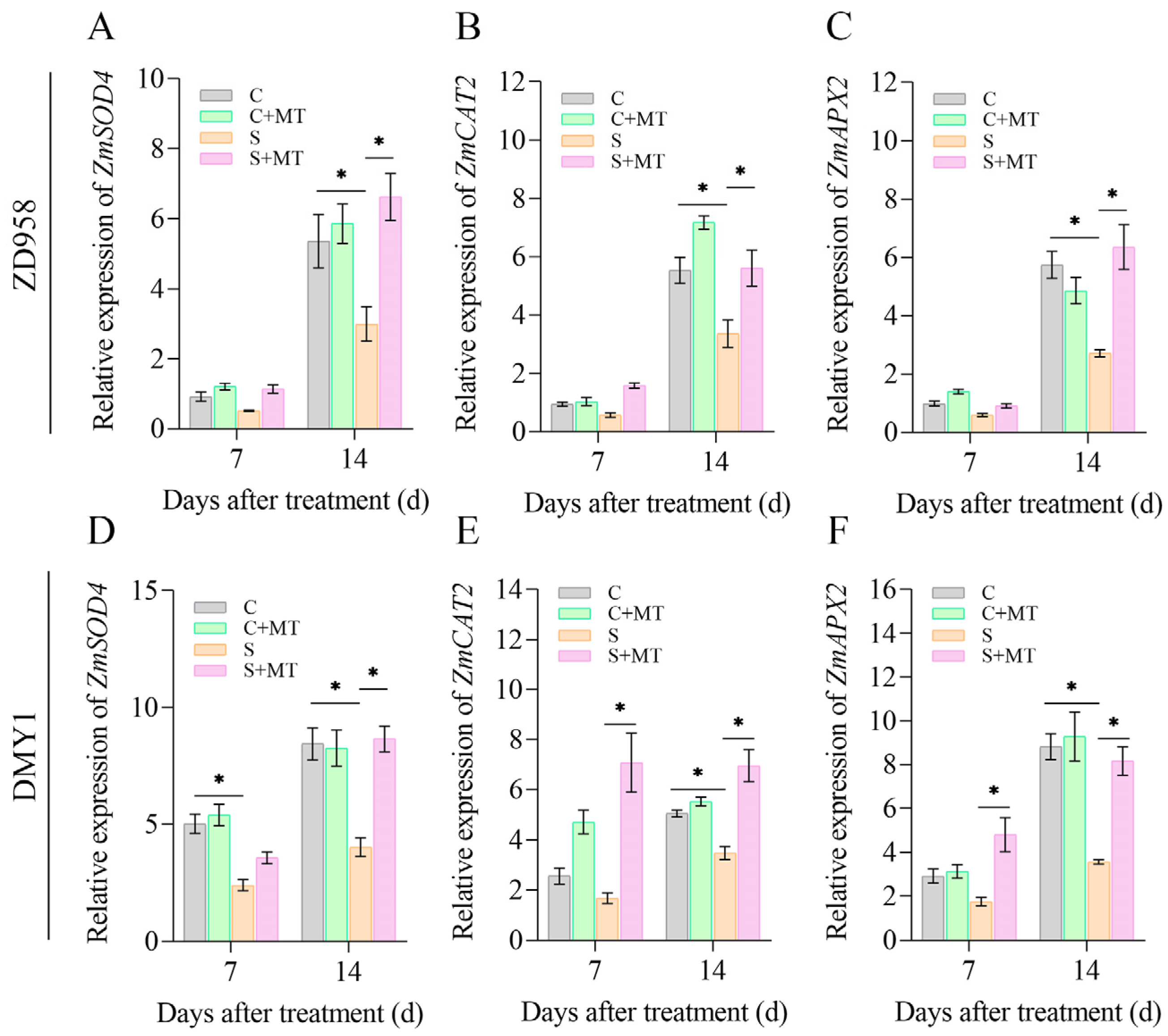 Plants 14 00296 g005