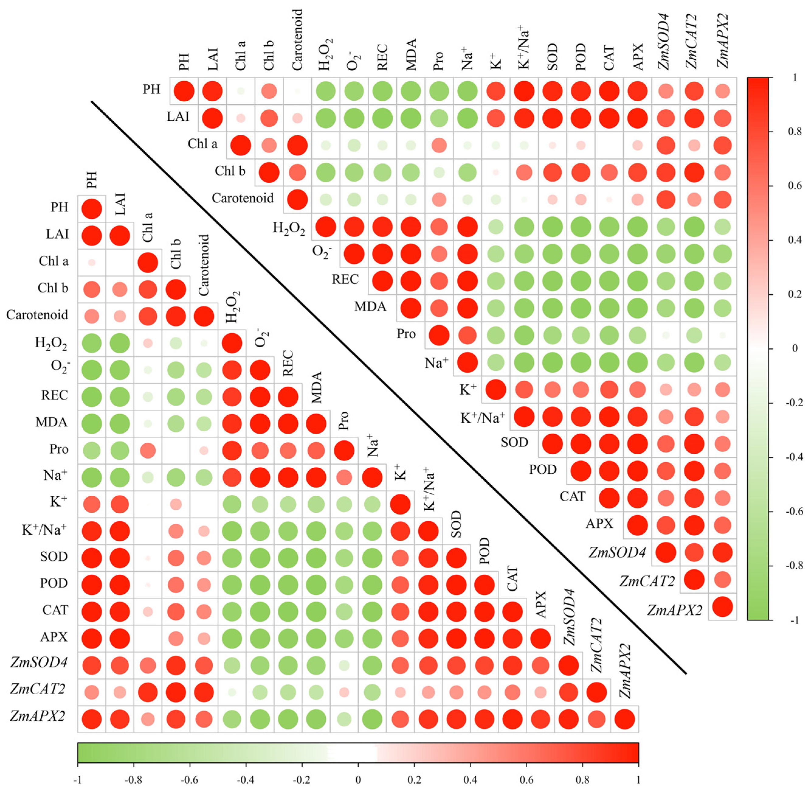 Plants 14 00296 g006