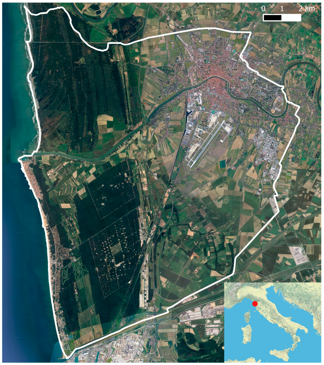 Plants 14 00307 g001