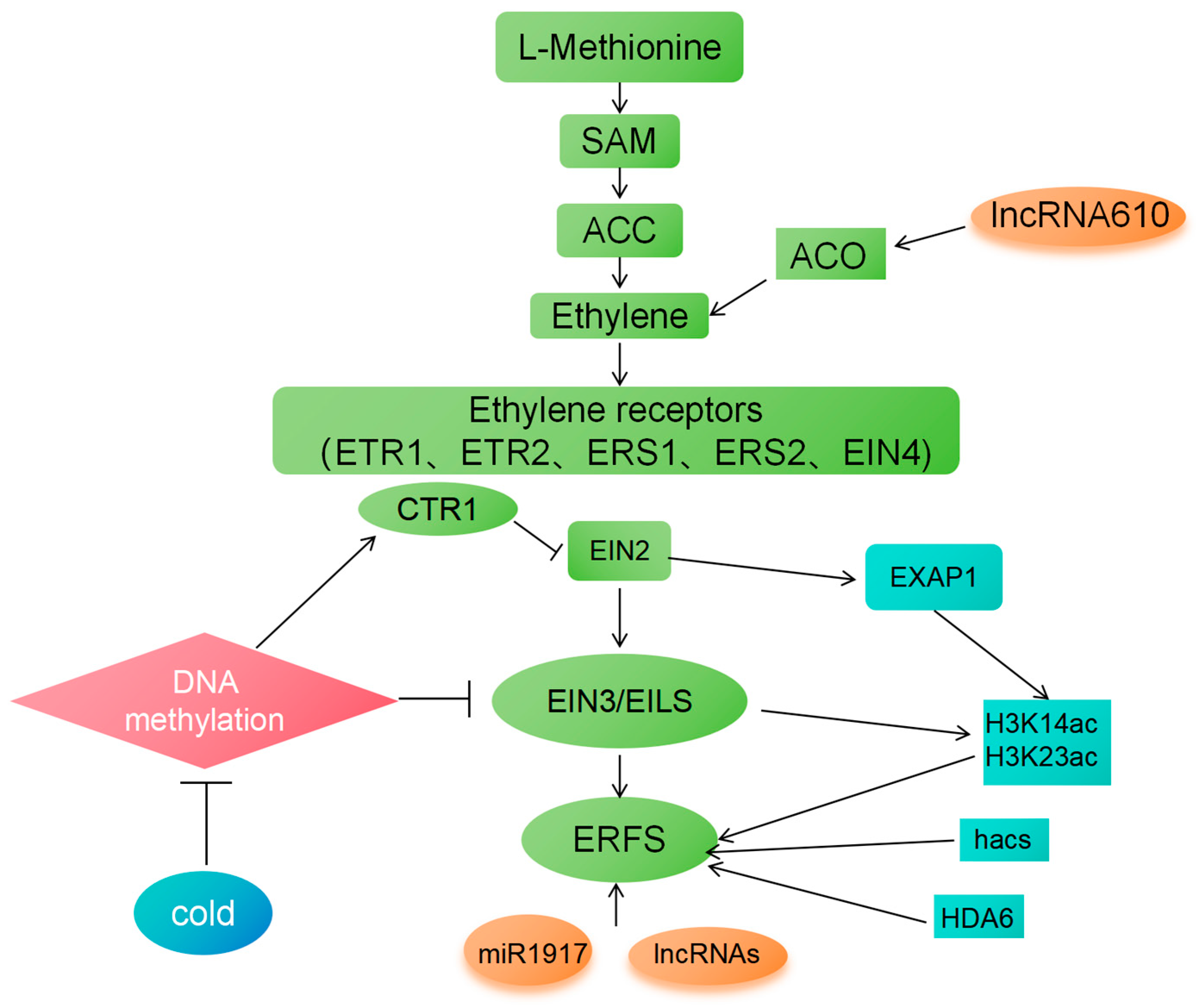 Plants 14 00309 g003
