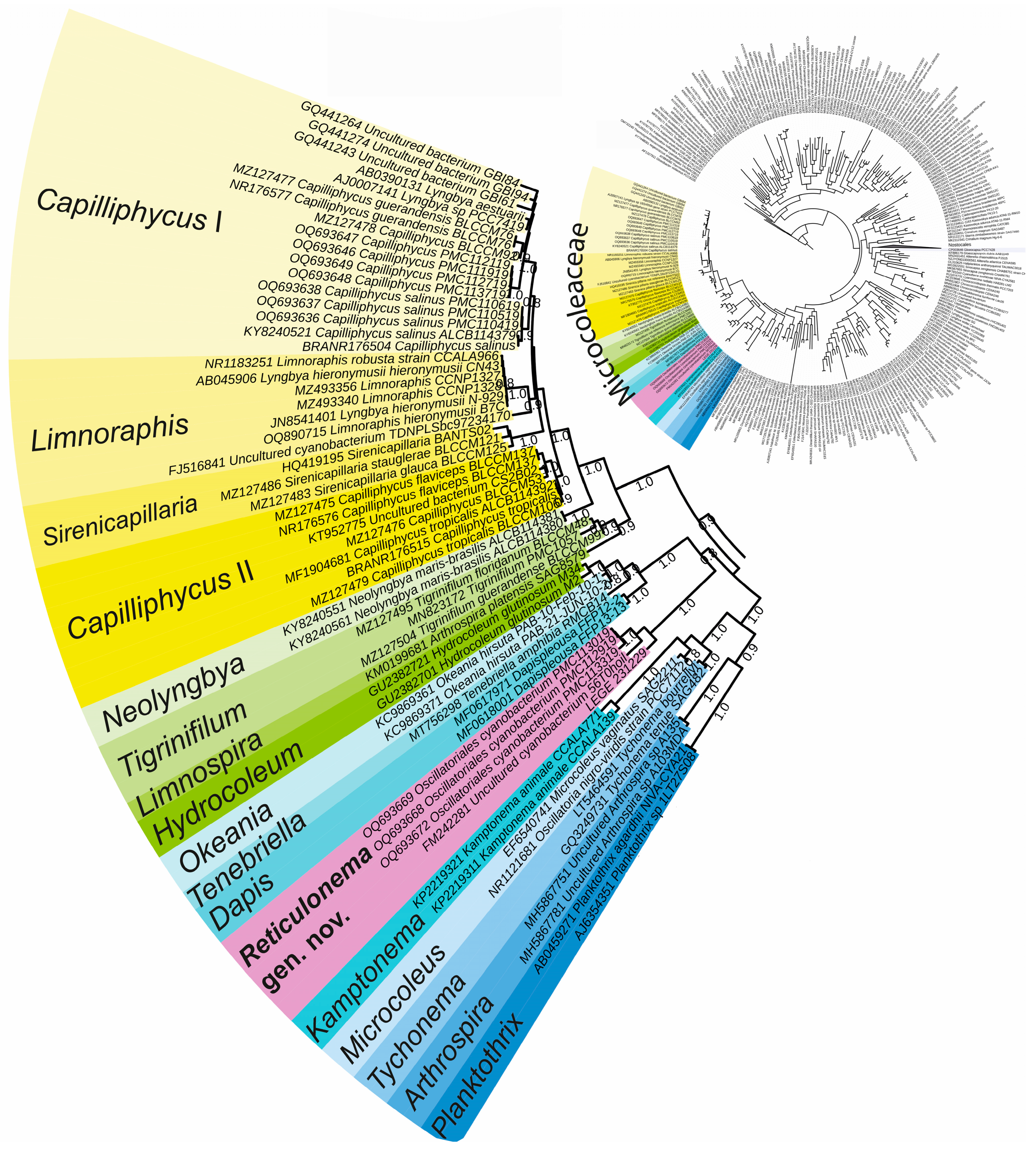 Plants 14 00310 g001