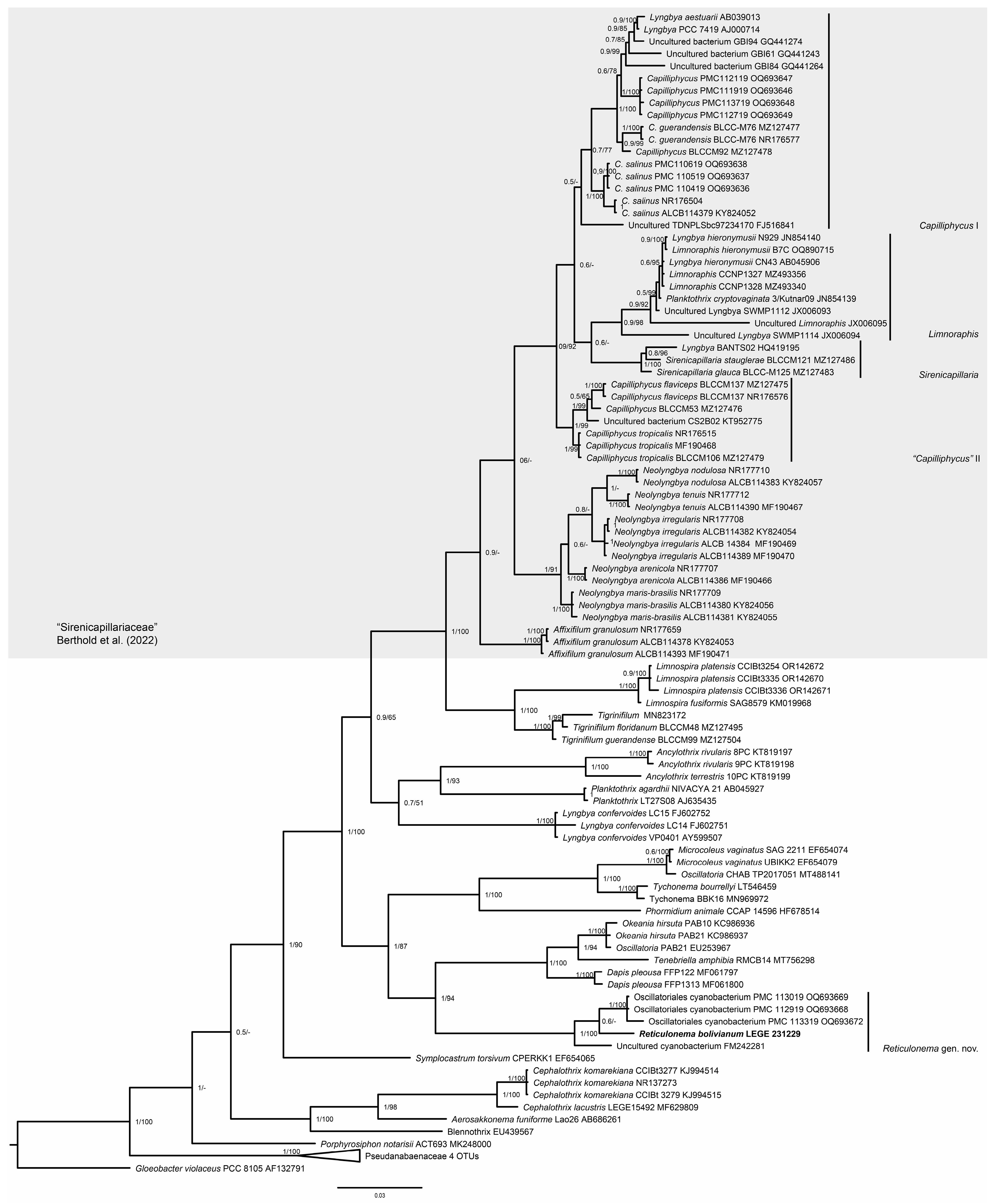 Plants 14 00310 g002