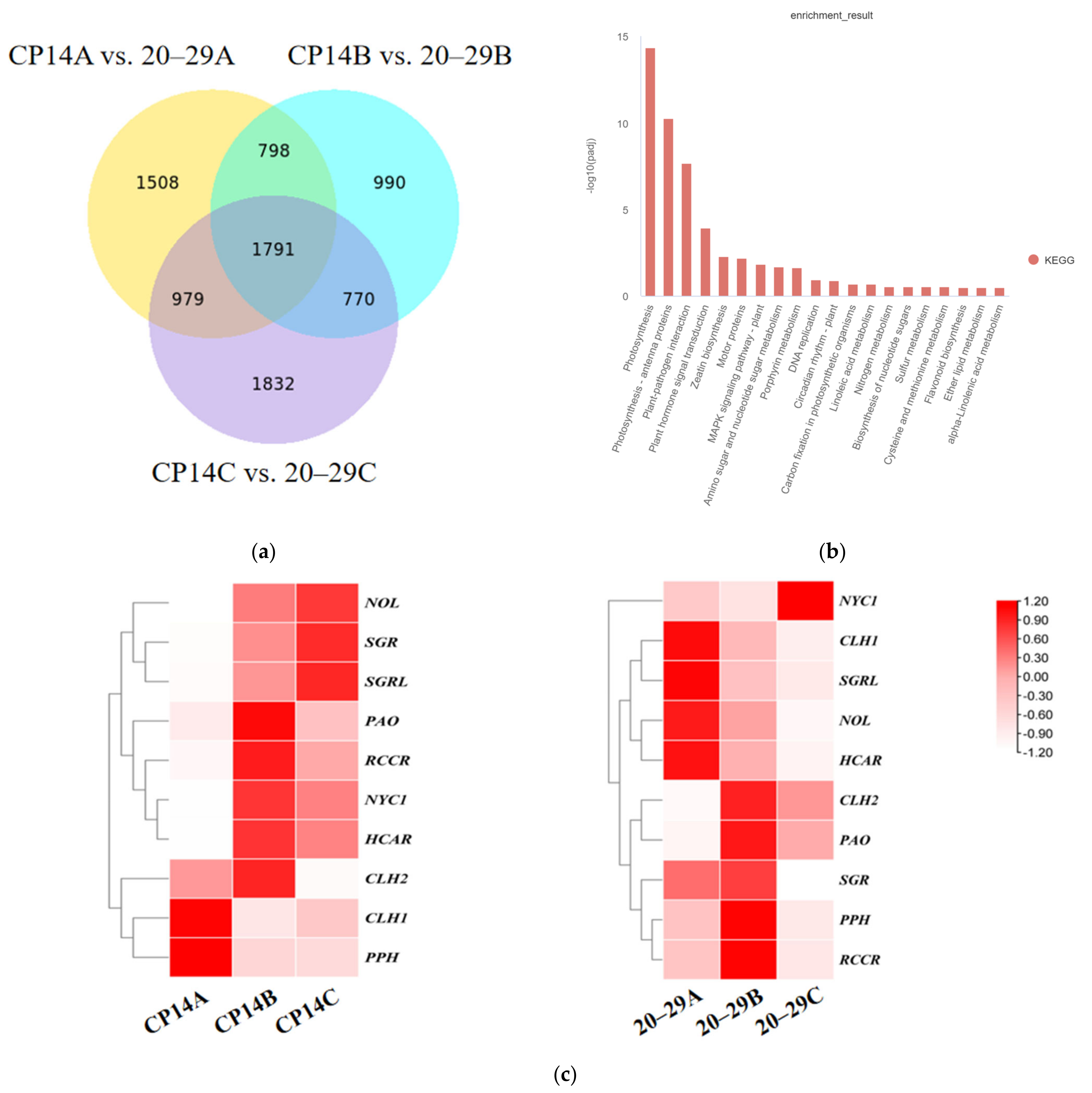 Plants 14 00312 g002
