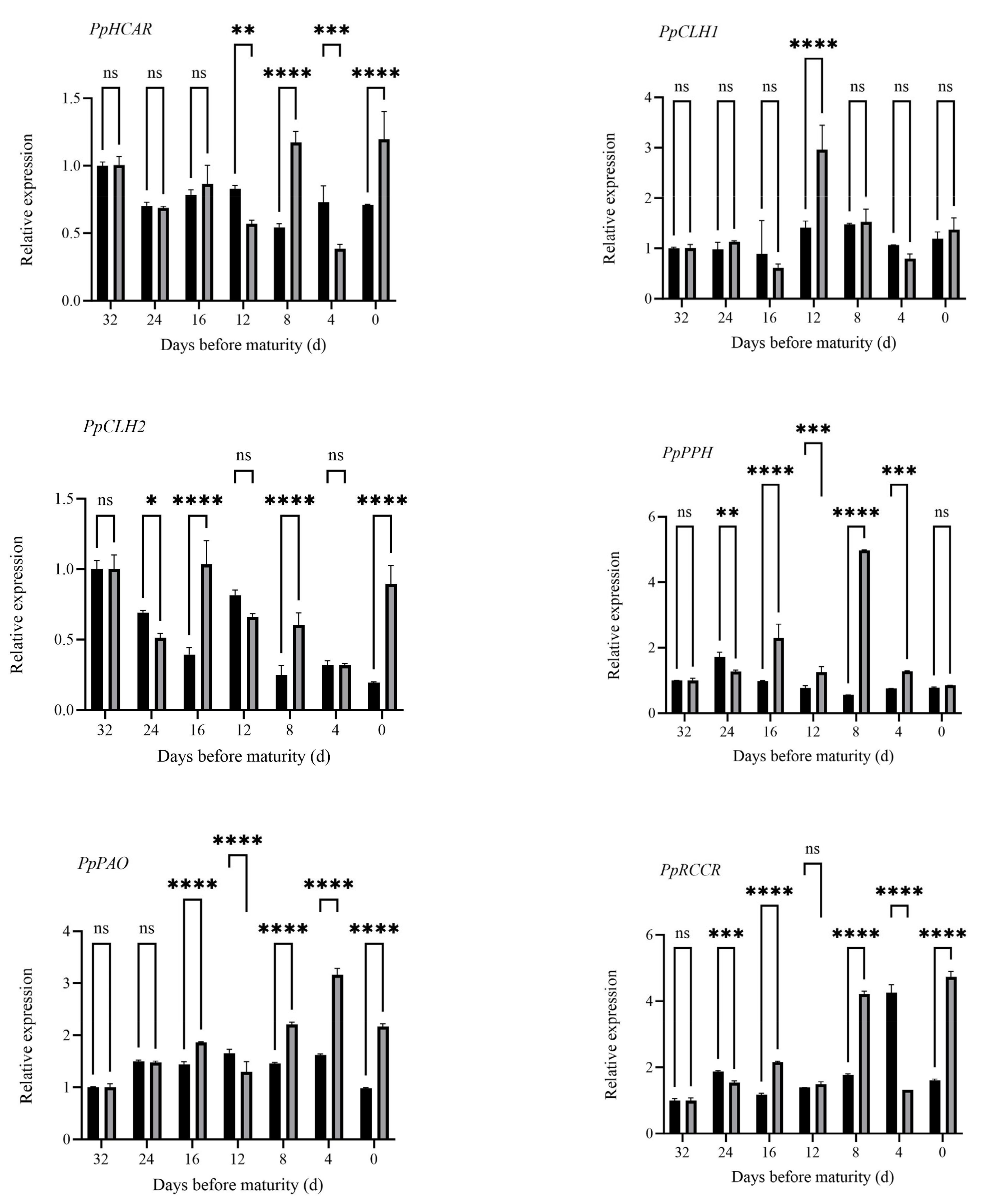 Plants 14 00312 g003b