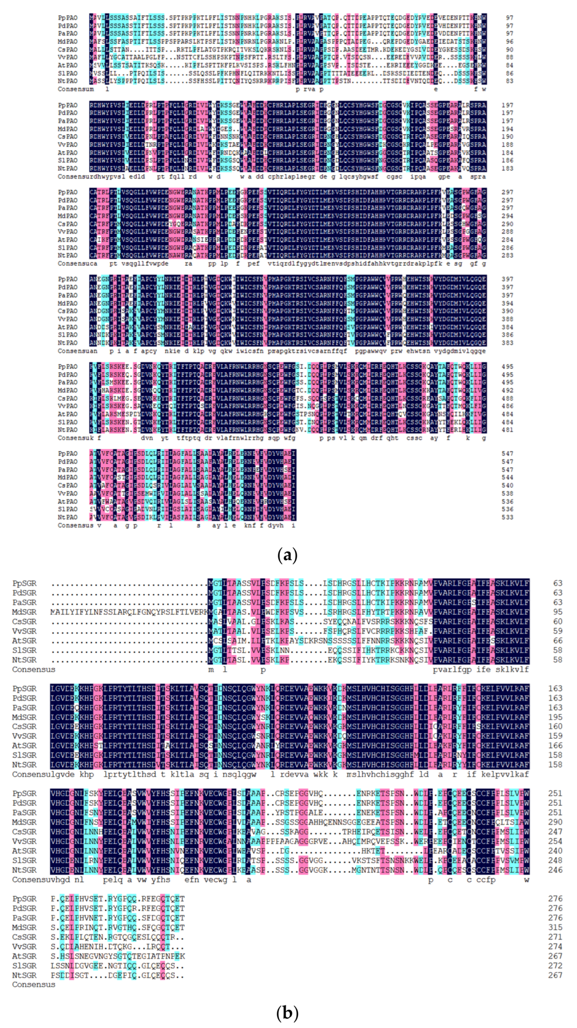 Plants 14 00312 g004