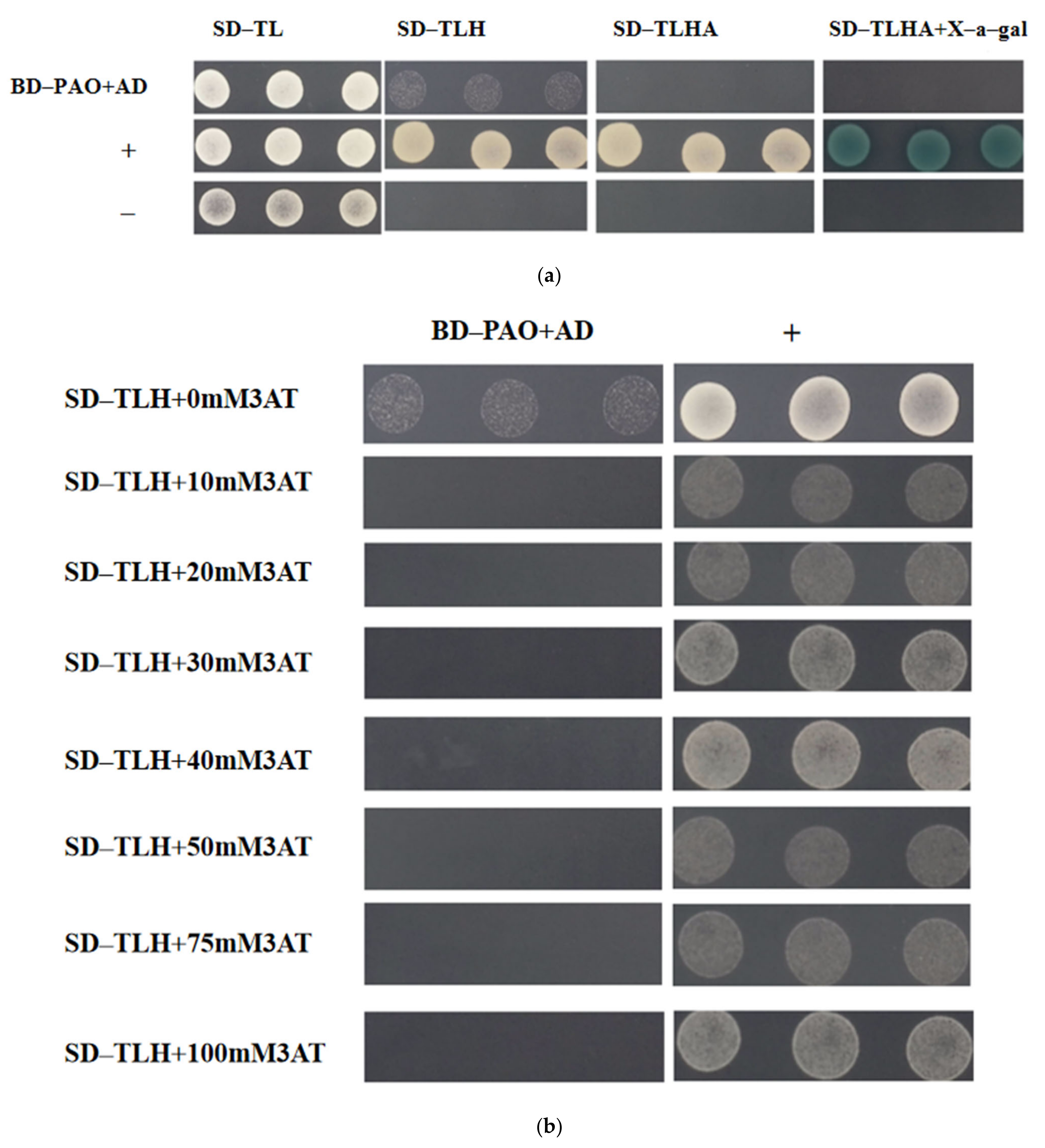 Plants 14 00312 g006a