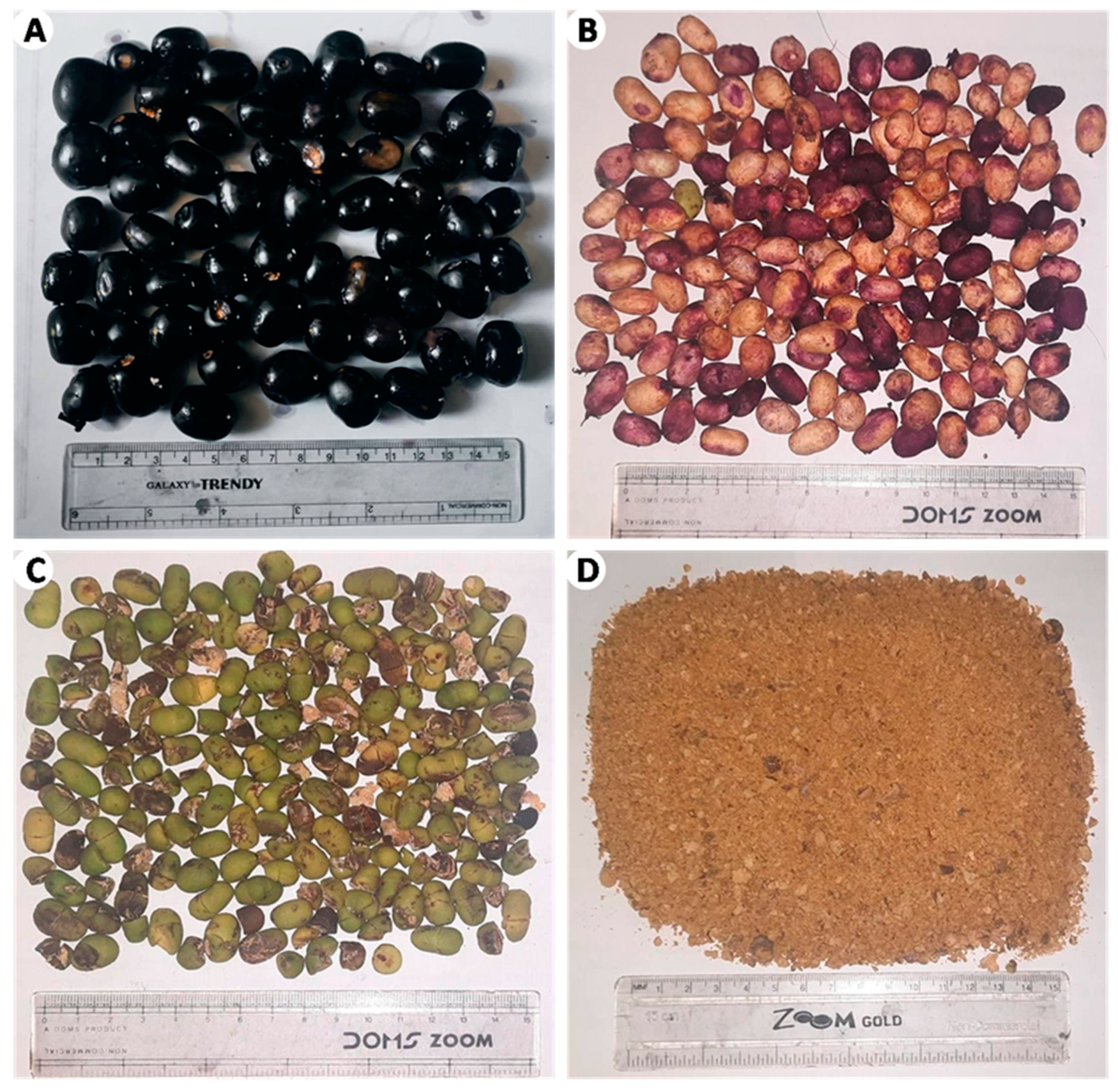 Plants 14 00316 g001 Plants 14 00316 g001