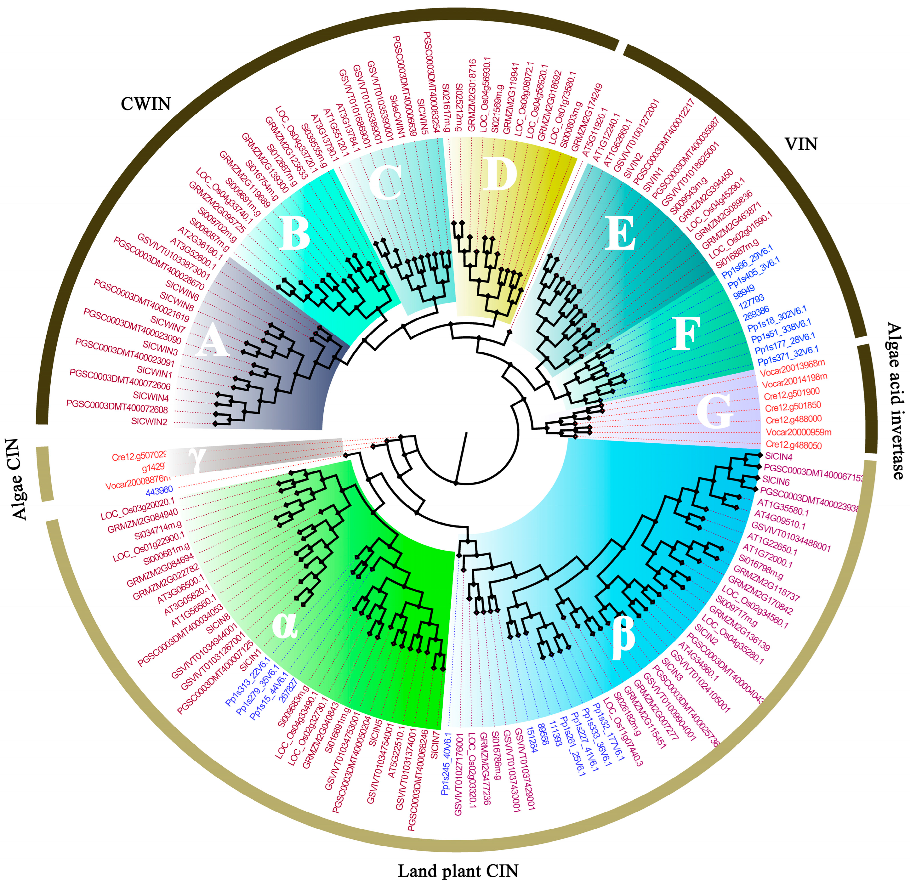 Plants 14 00320 g002
