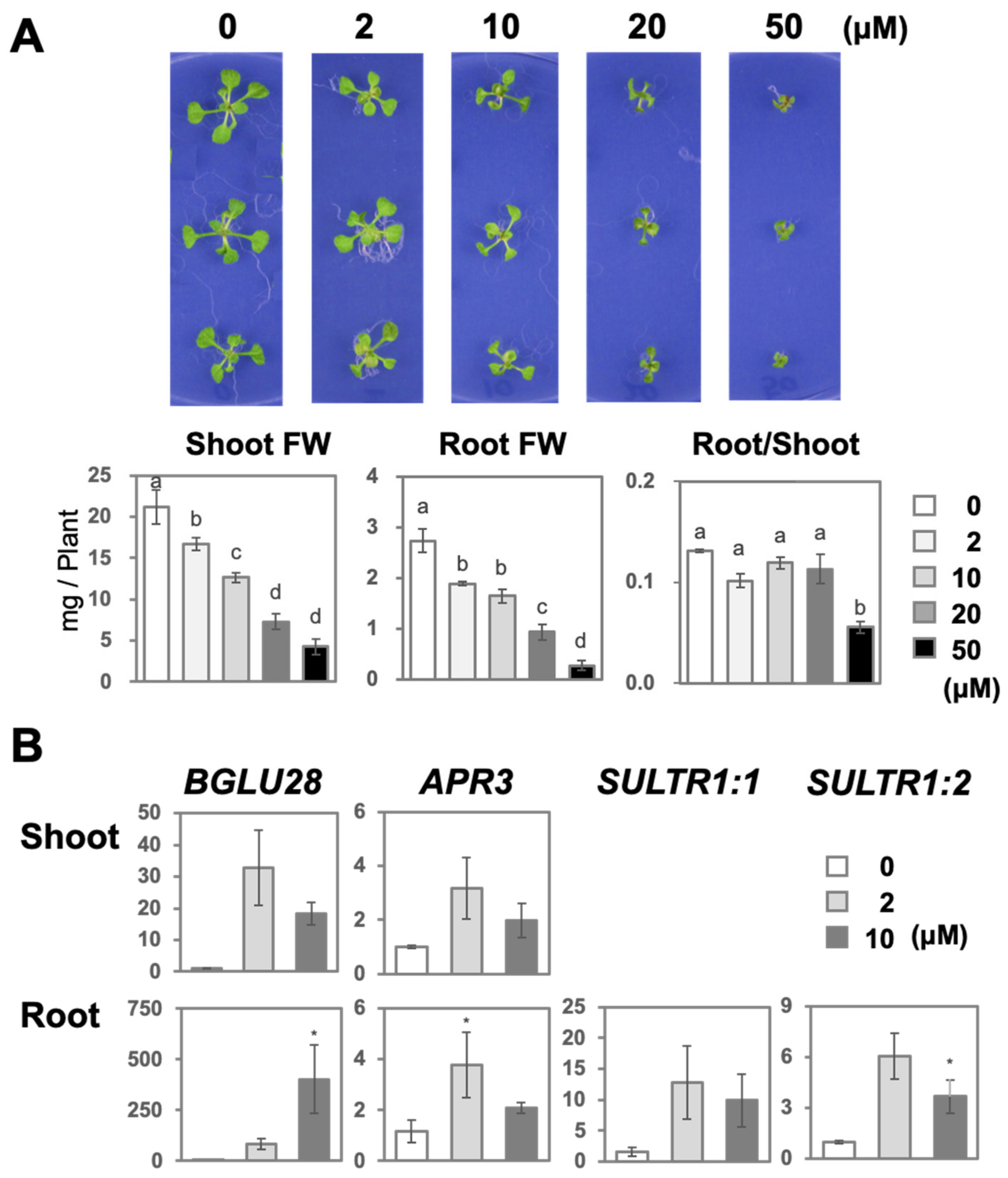 Plants 14 00322 g001