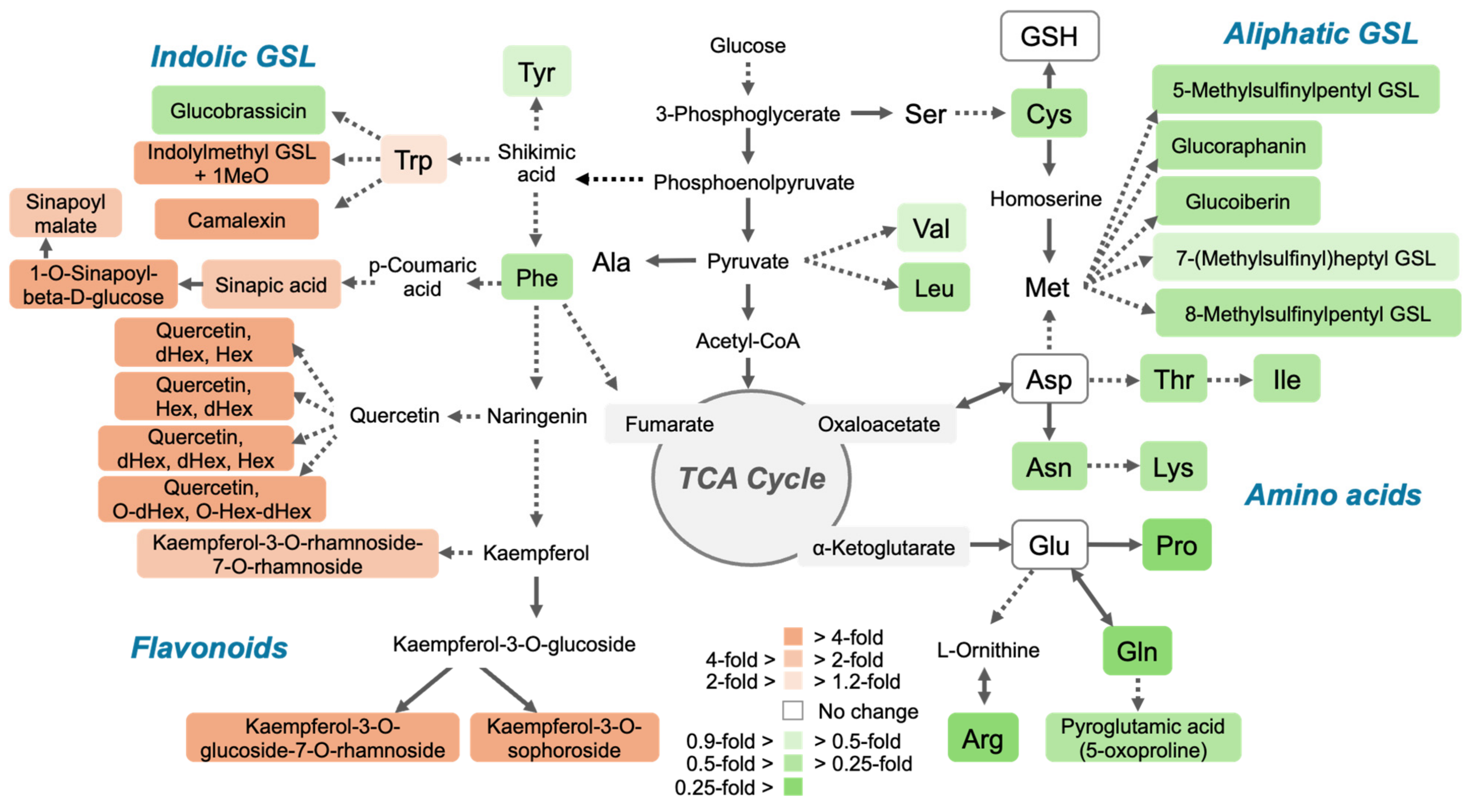 Plants 14 00322 g004