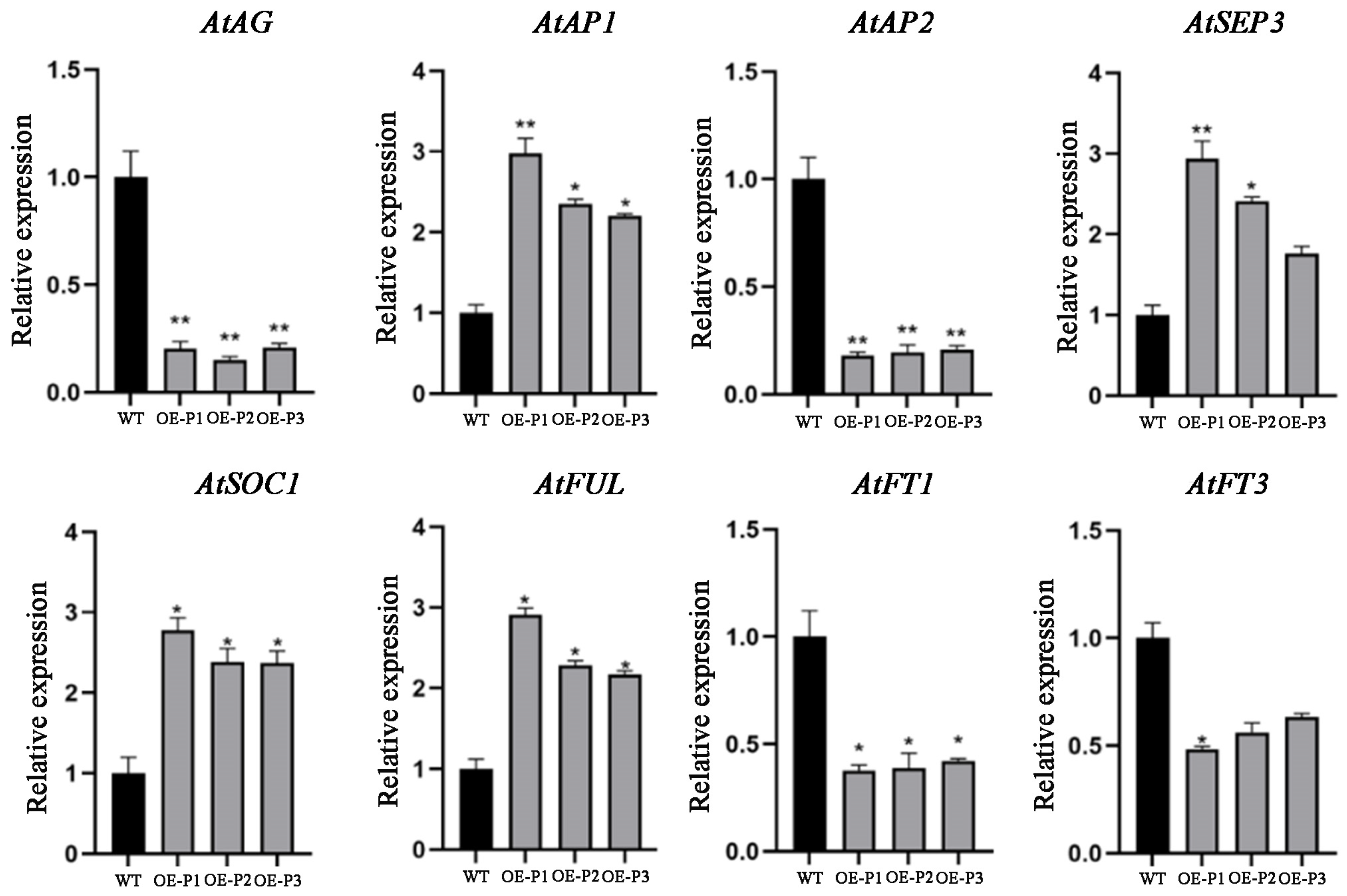 Plants 14 00323 g007 Plants 14 00323 g007