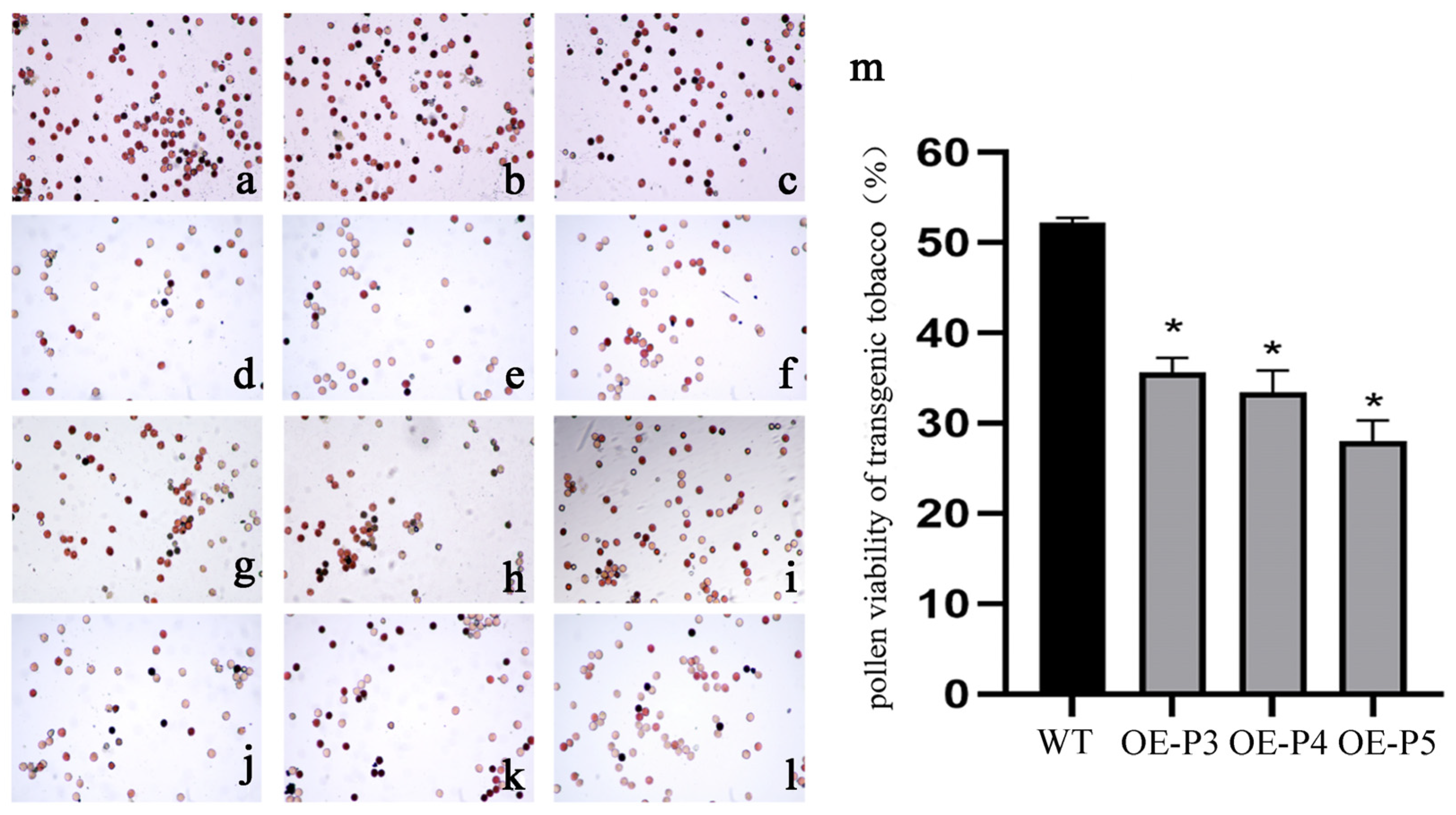 Plants 14 00323 g009 Plants 14 00323 g009