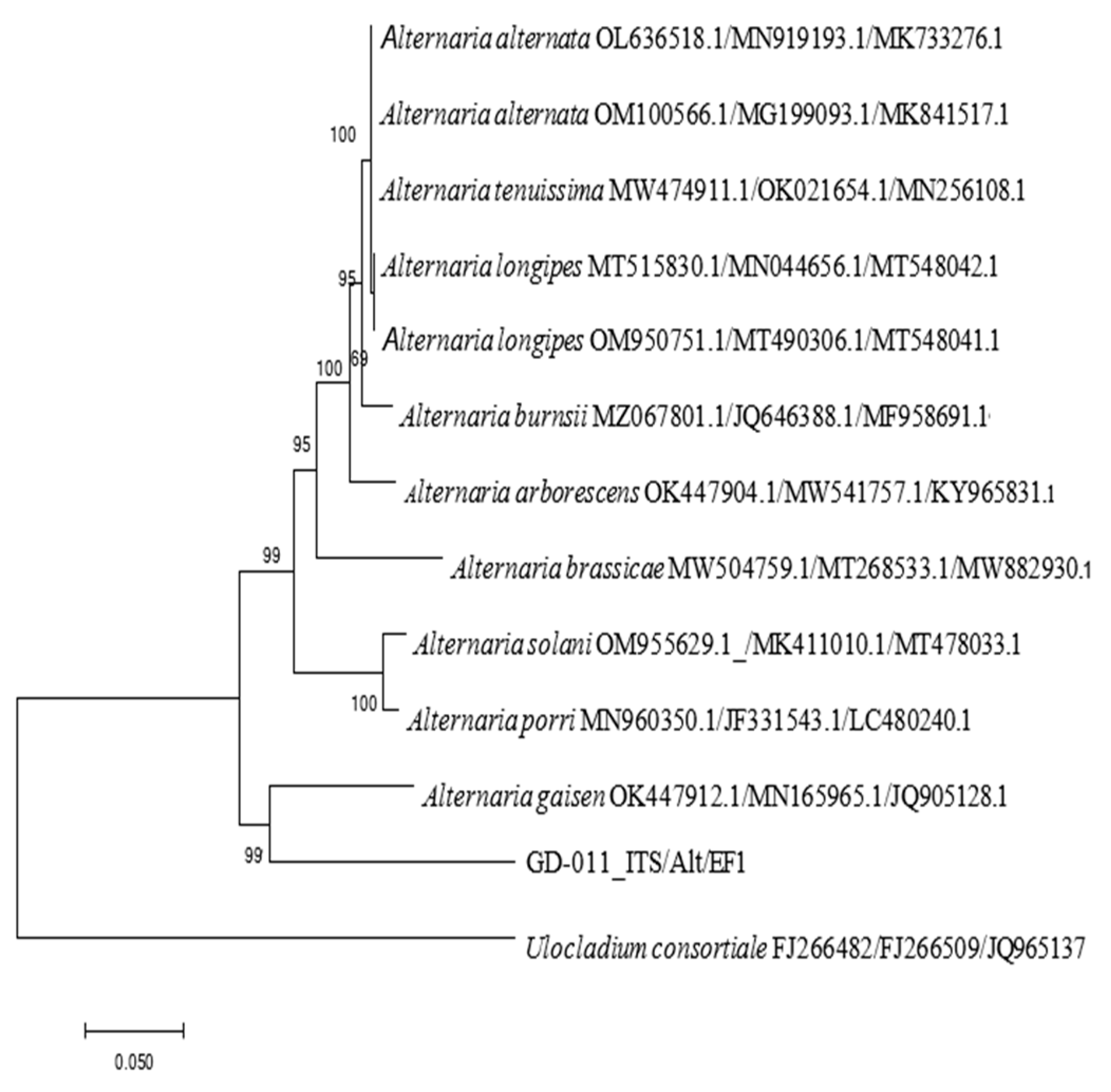 Plants 14 00331 g005