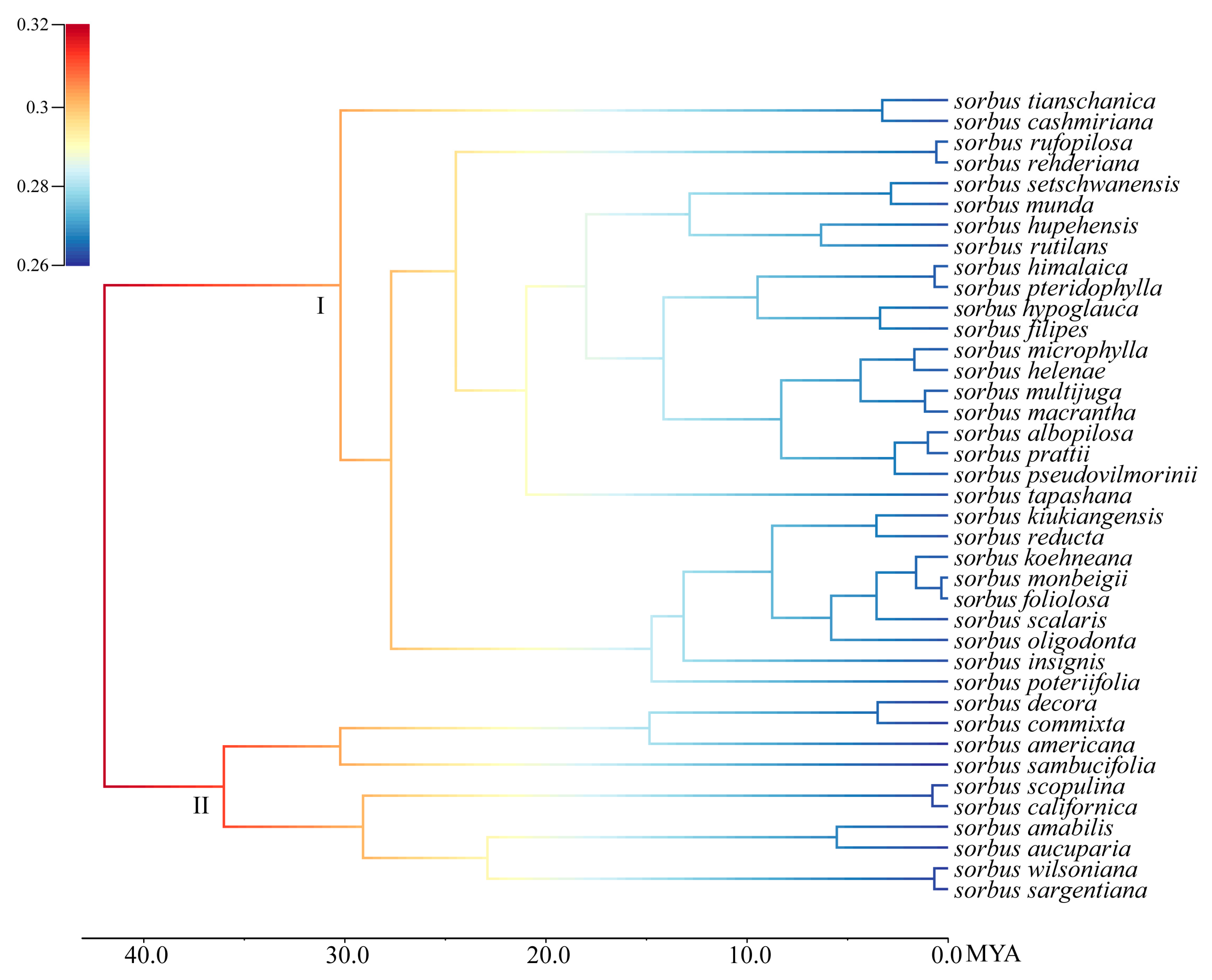 Plants 14 00338 g005 Plants 14 00338 g005