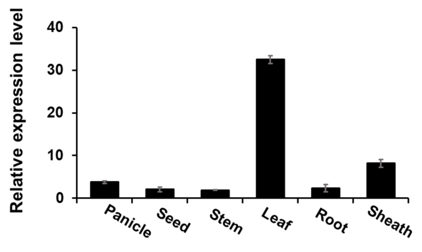 Plants 14 00345 g002