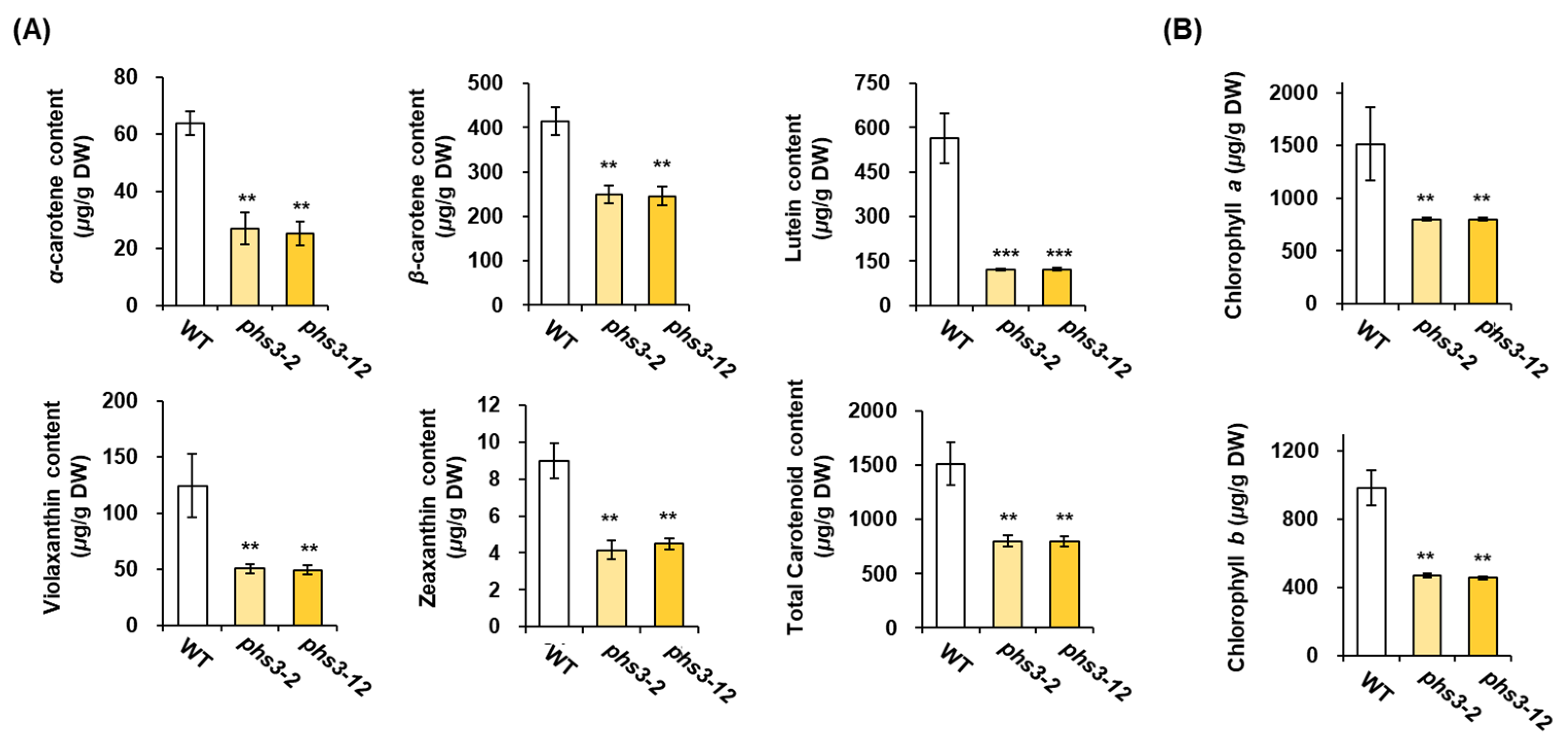 Plants 14 00345 g005