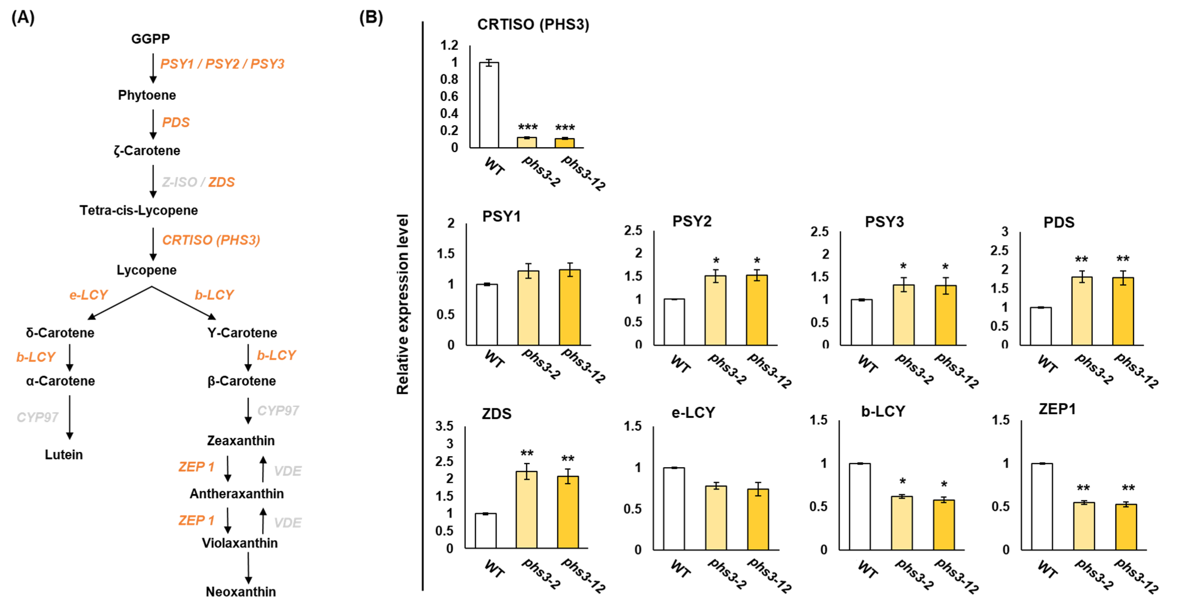 Plants 14 00345 g006
