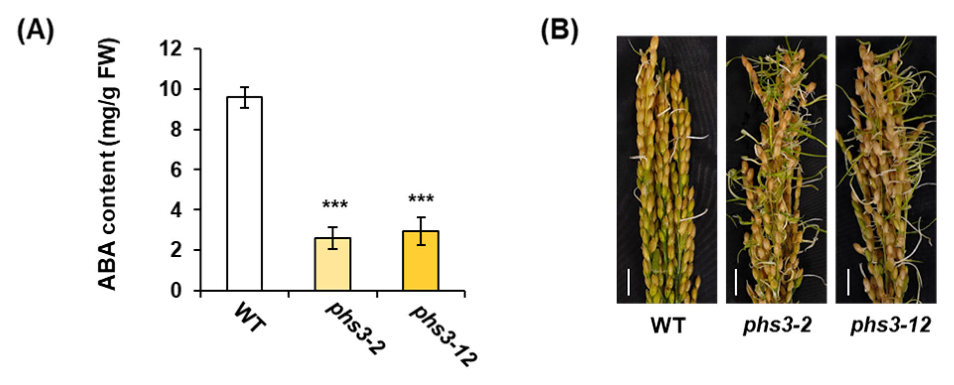 Plants 14 00345 g007