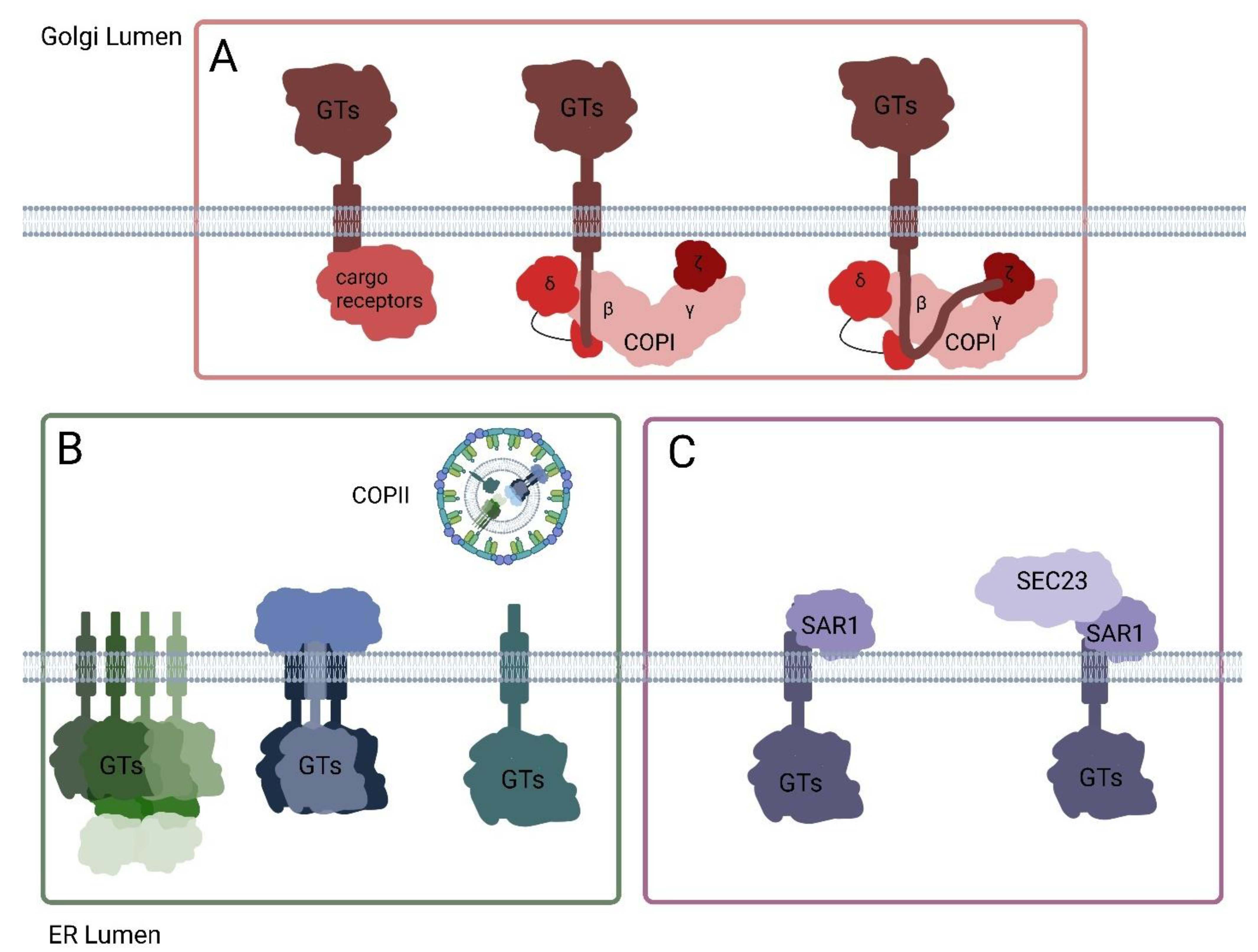 Plants 14 00350 g002