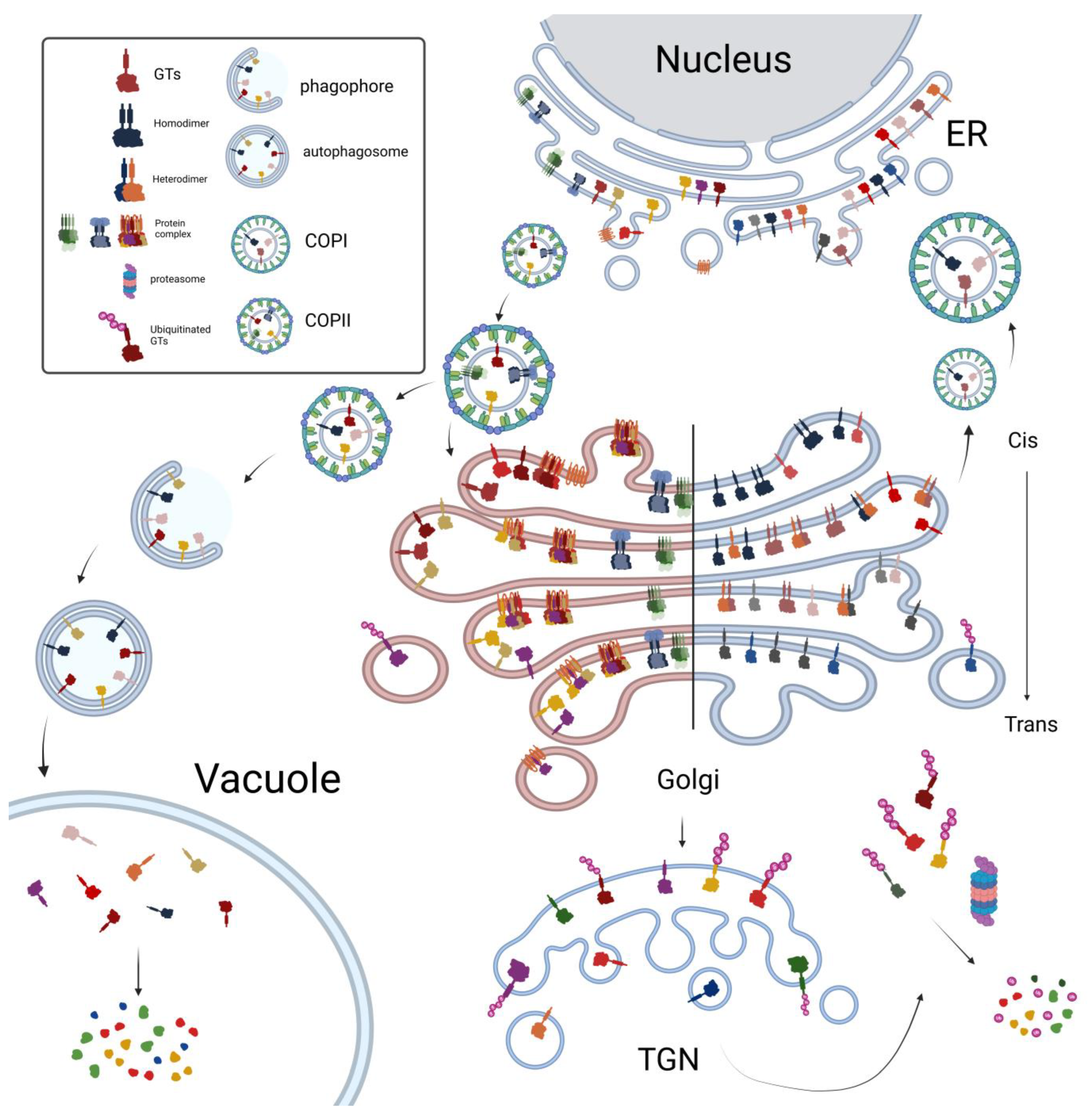 Plants 14 00350 g003
