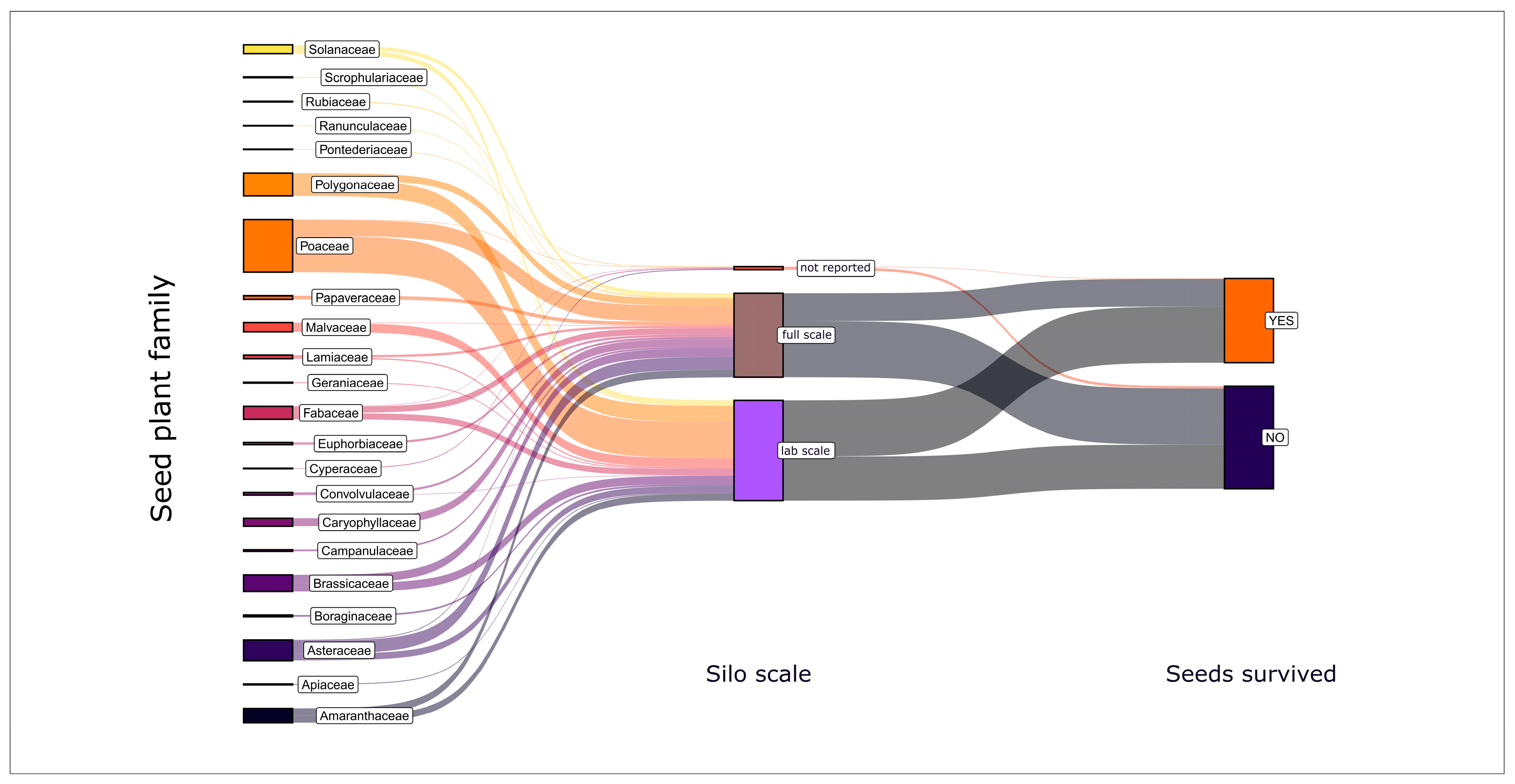 Plants 14 00351 g005