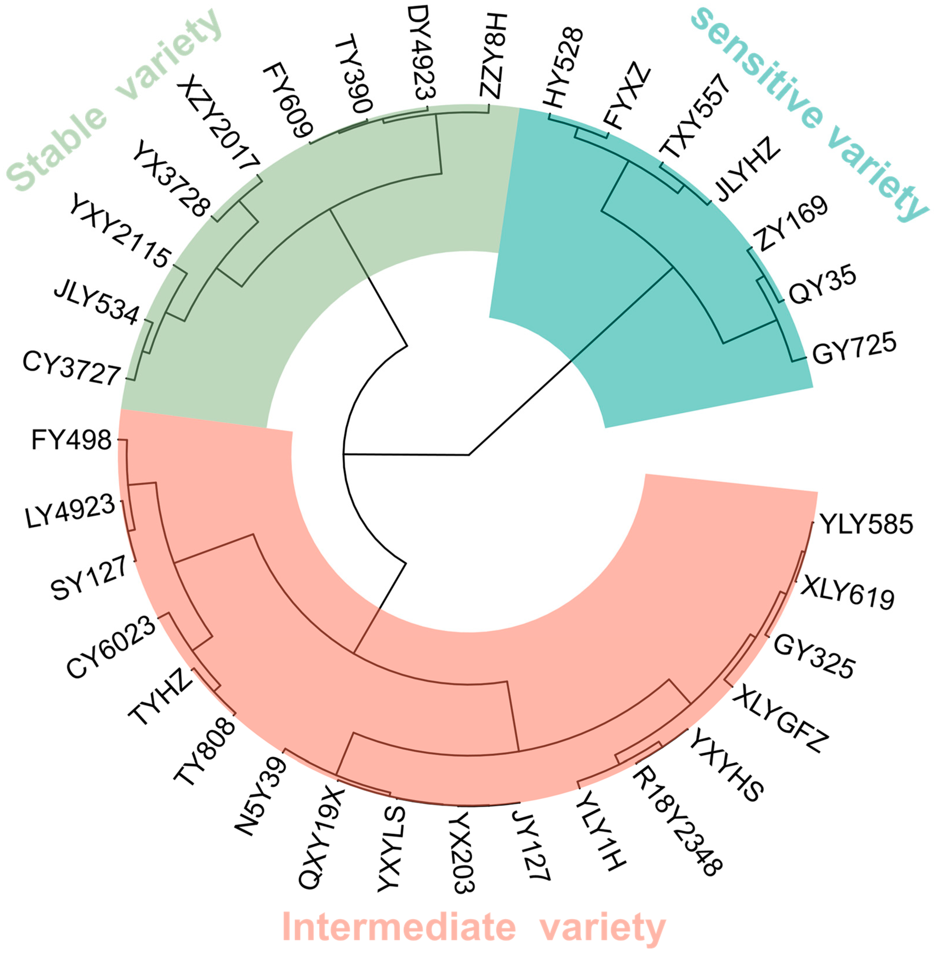 Plants 14 00356 g003