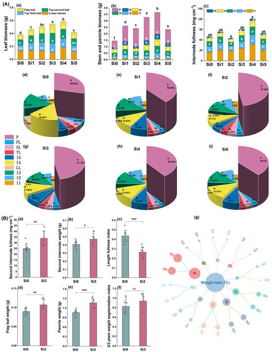Plants 14 00361 g003