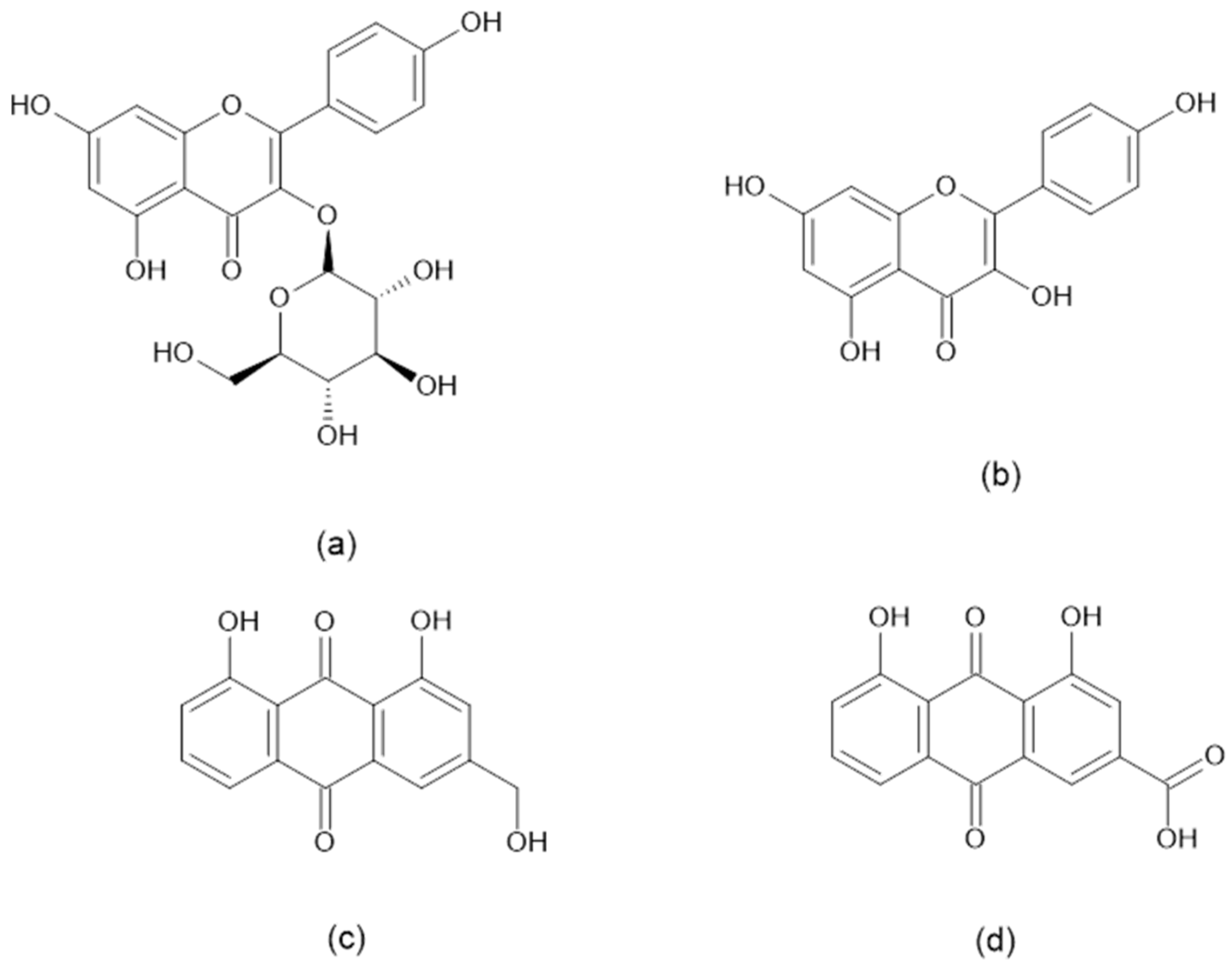 Plants 14 00362 g002