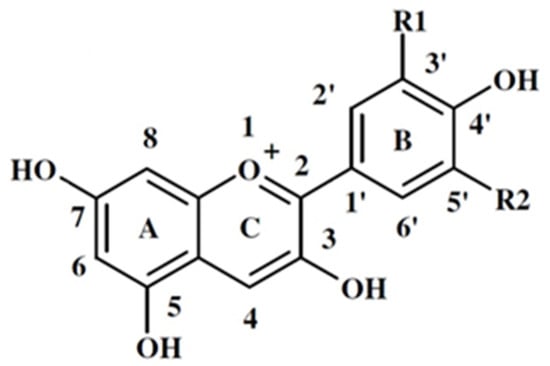 Plants 14 00363 g001
