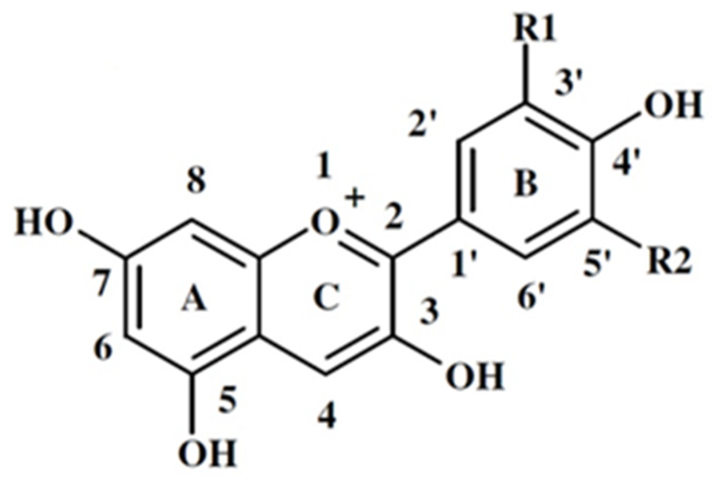 Plants 14 00363 g001