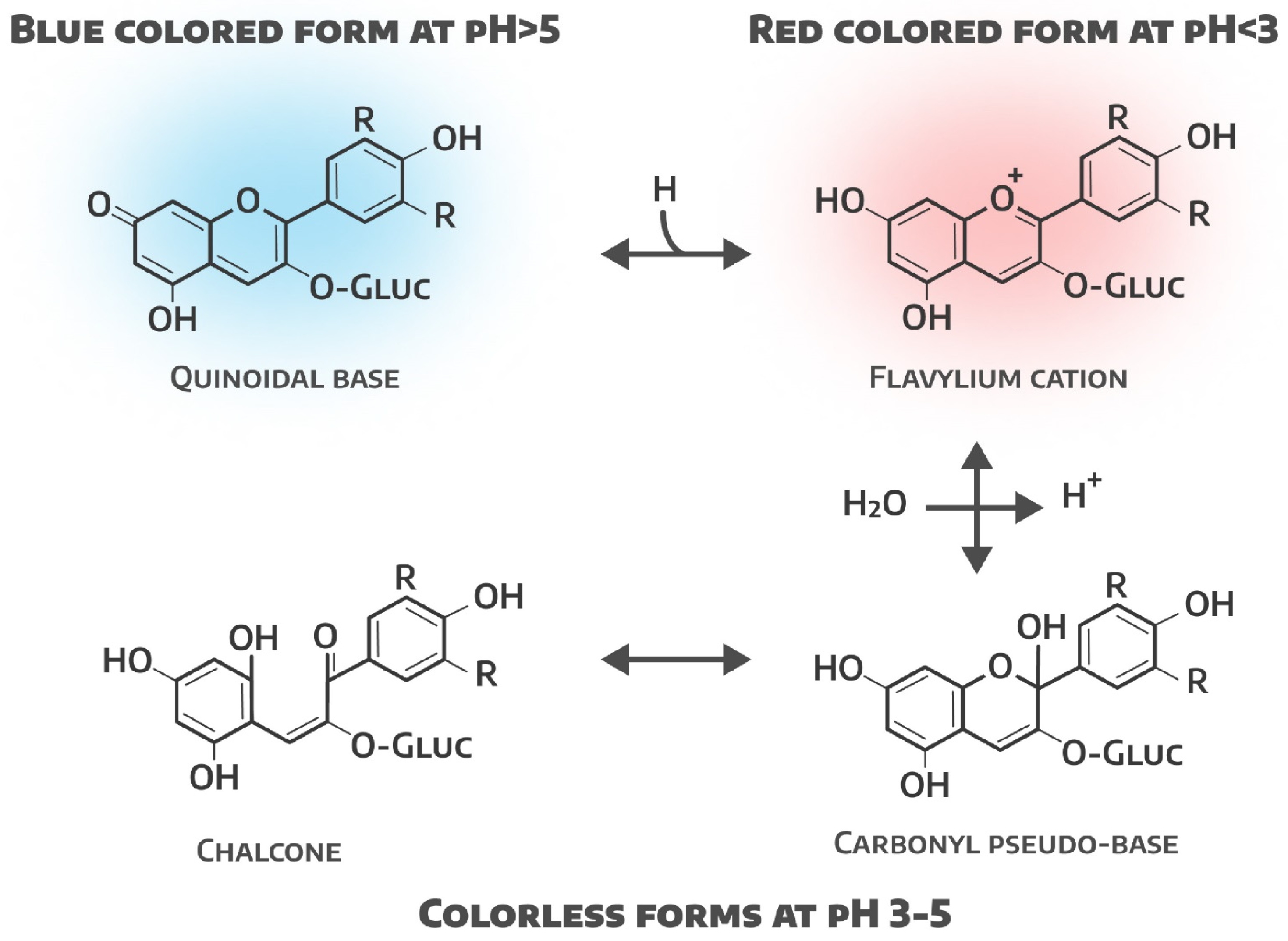 Plants 14 00363 g004