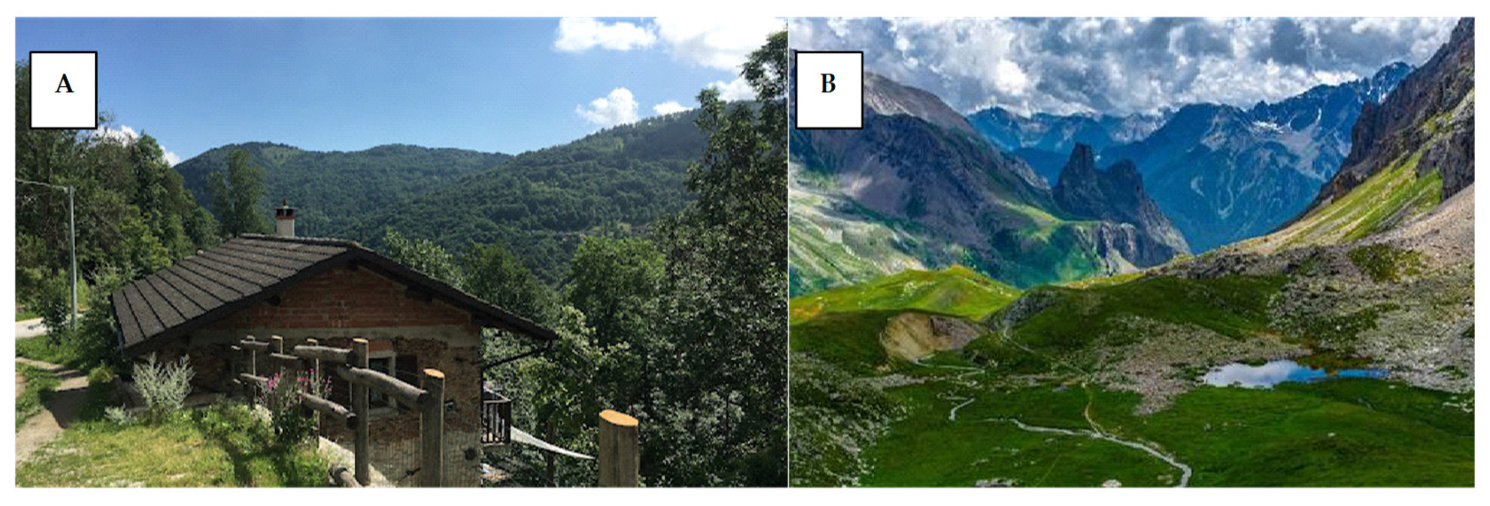 Plants 14 00367 g010