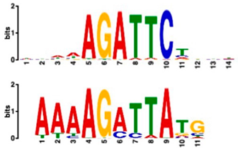 Plants 14 00381 i002