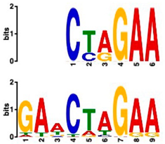Plants 14 00381 i003