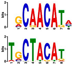 Plants 14 00381 i005