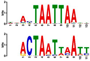 Plants 14 00381 i006