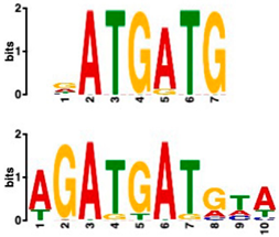 Plants 14 00381 i007