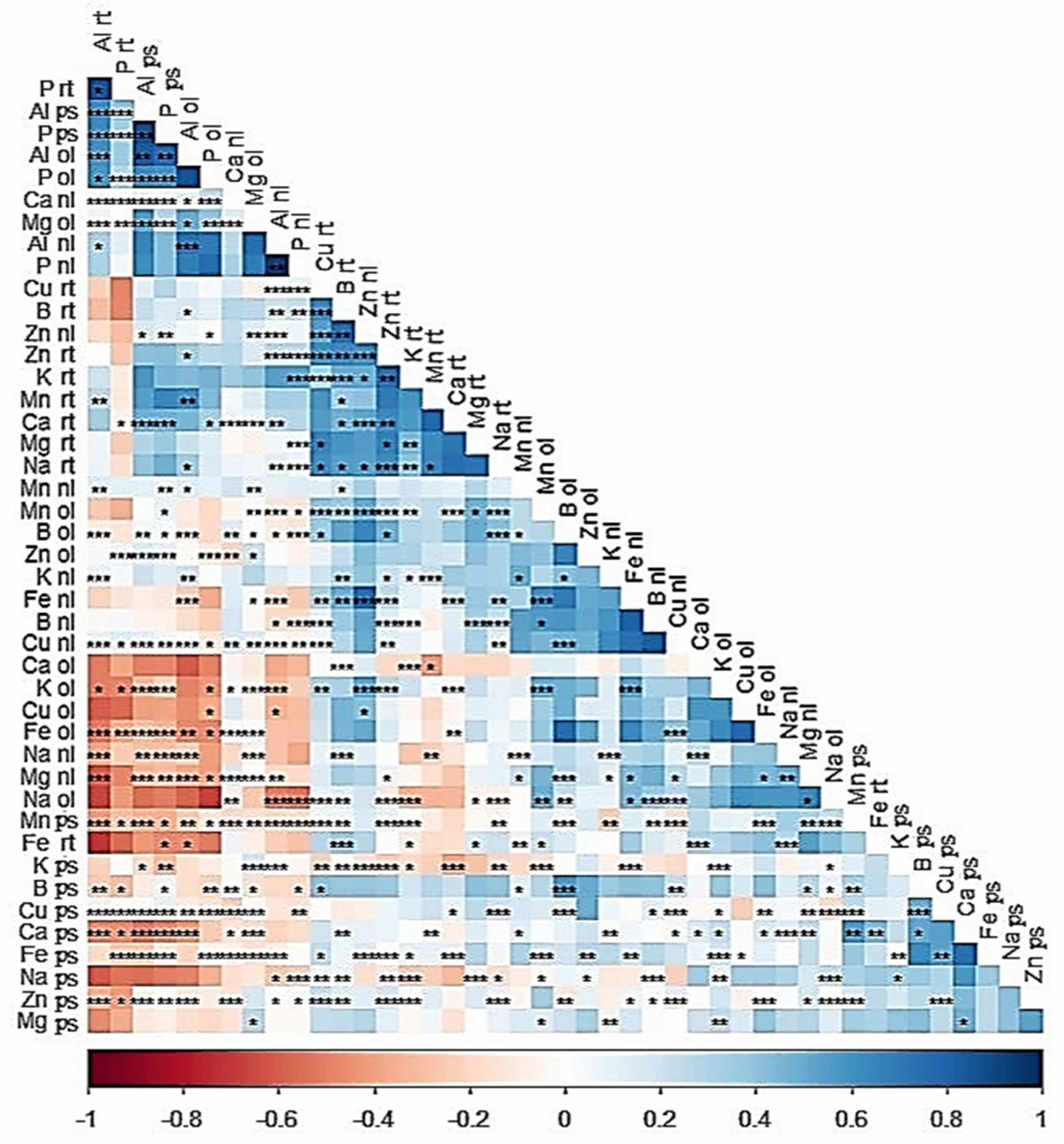 Plants 14 00385 g008