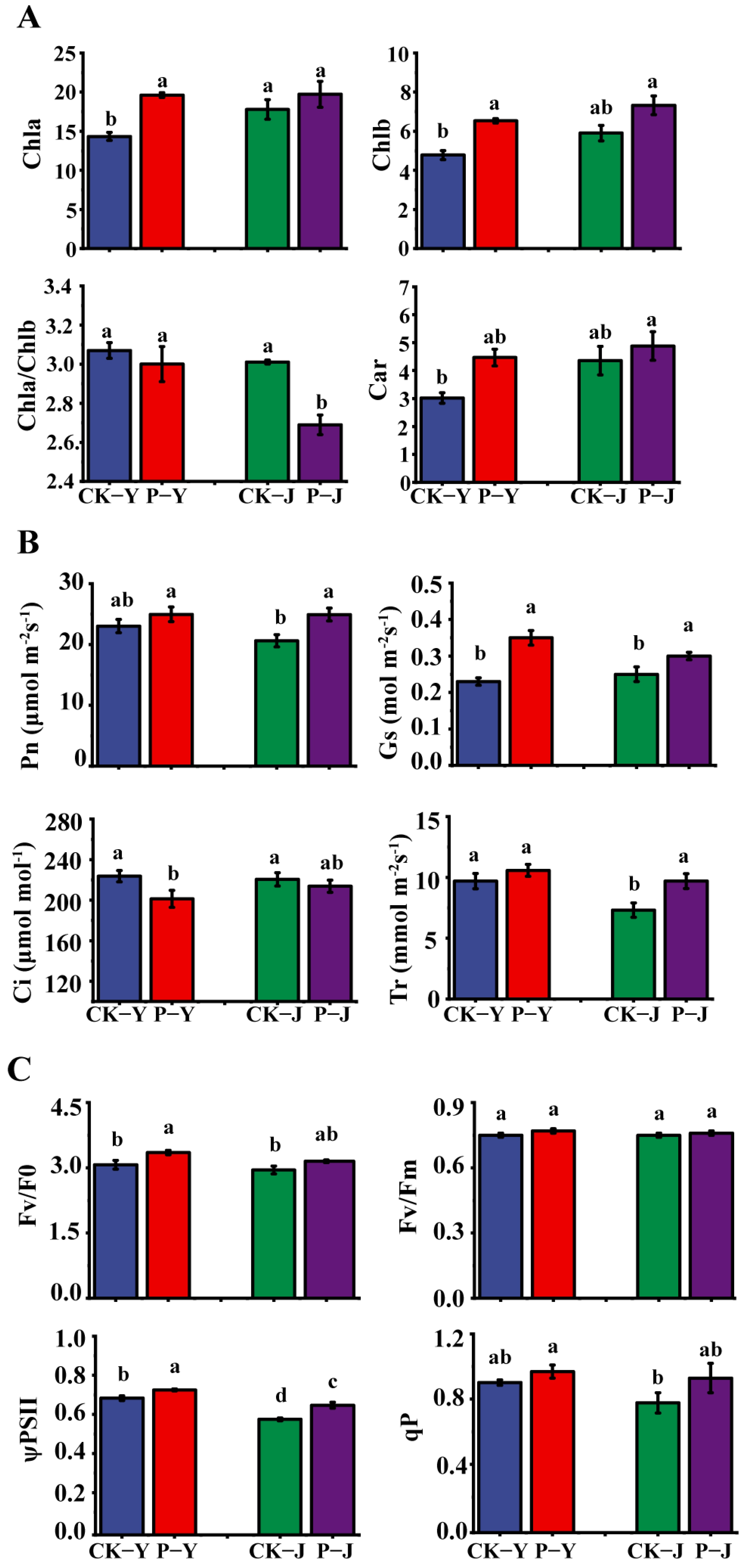 Plants 14 00394 g002