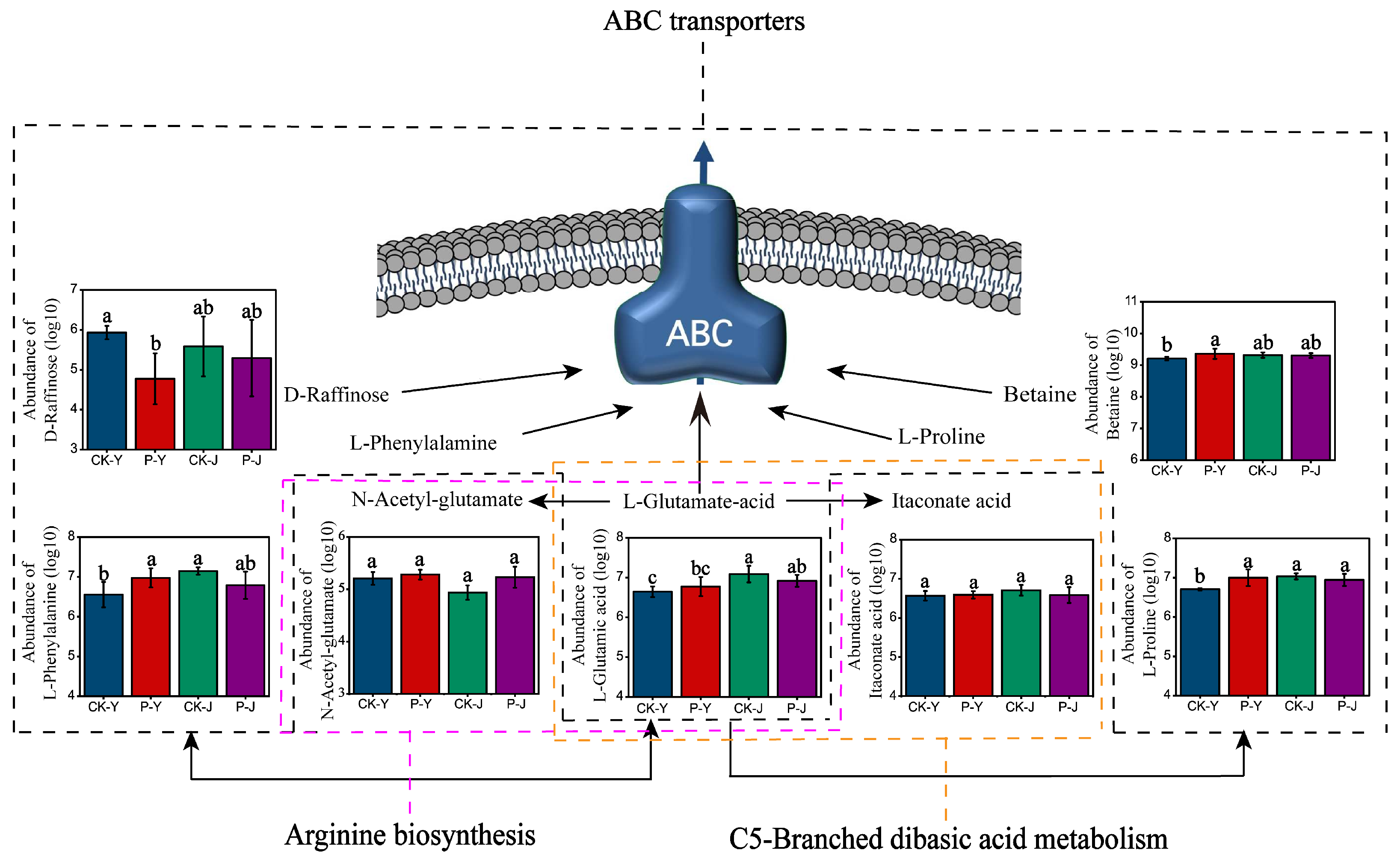 Plants 14 00394 g008