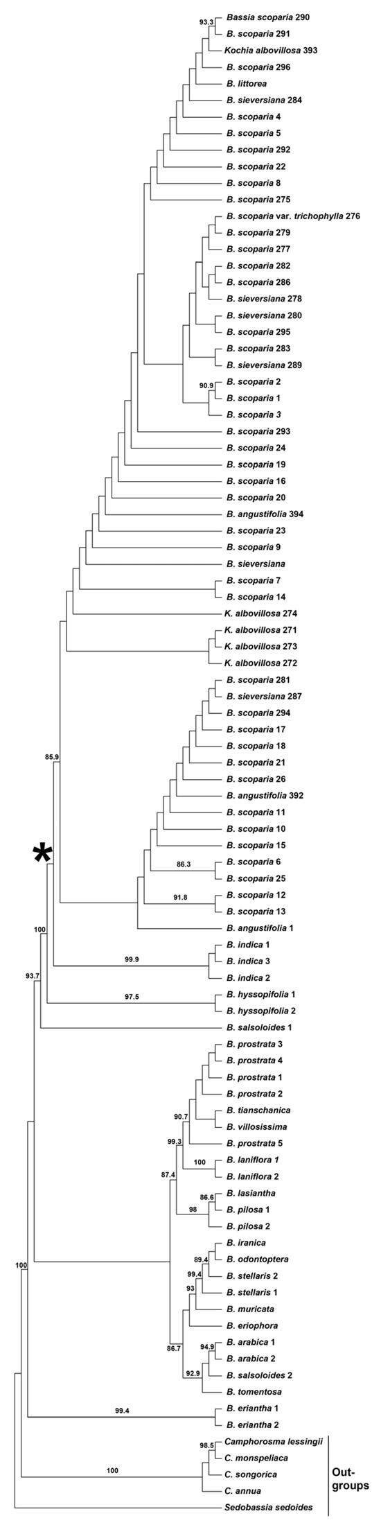 Plants 14 00398 g001