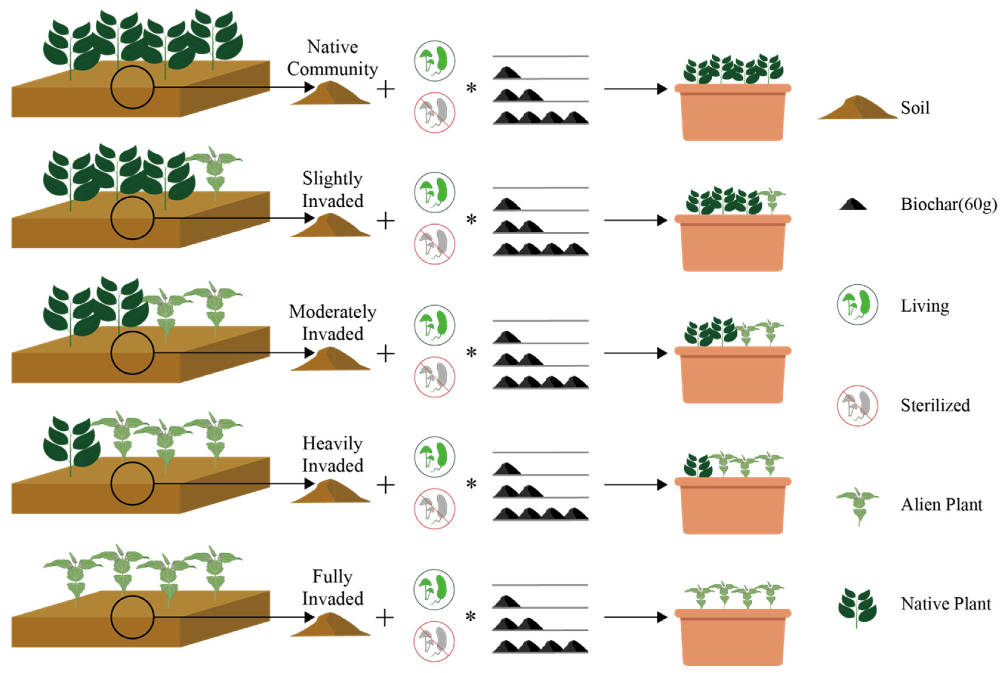 Plants 14 00401 g001